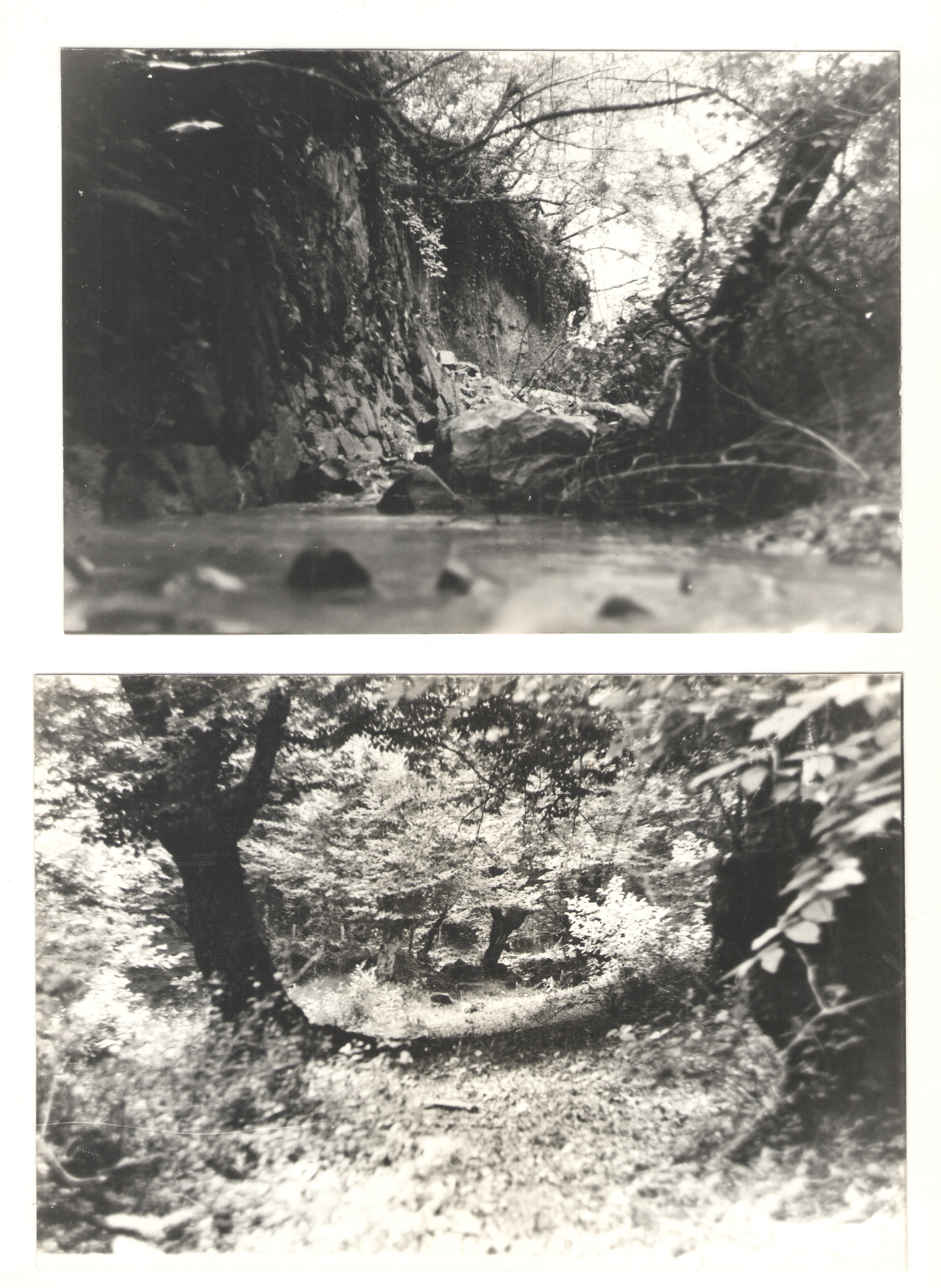 ОСУТИН. Курортное дело