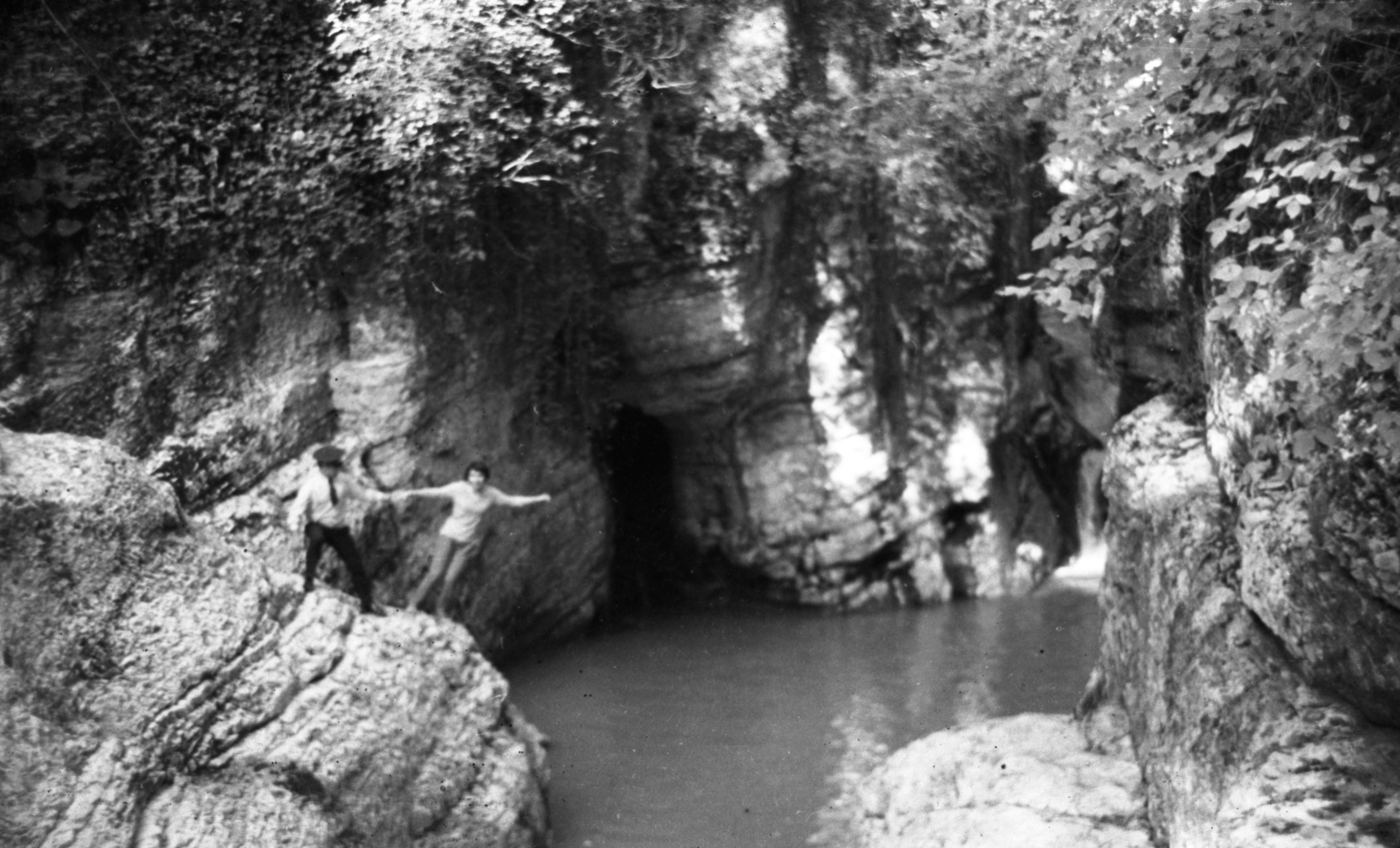 СААКОВЫ. Курортное дело