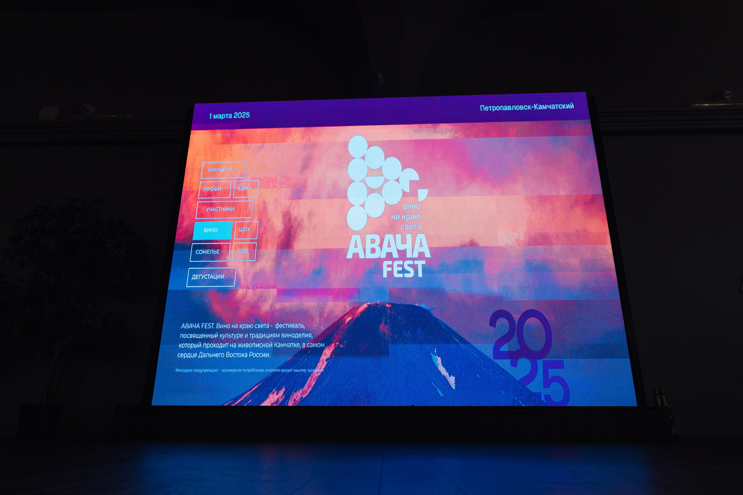 АВАЧАFEST. Фотограф Камчатка | Светлана Рей