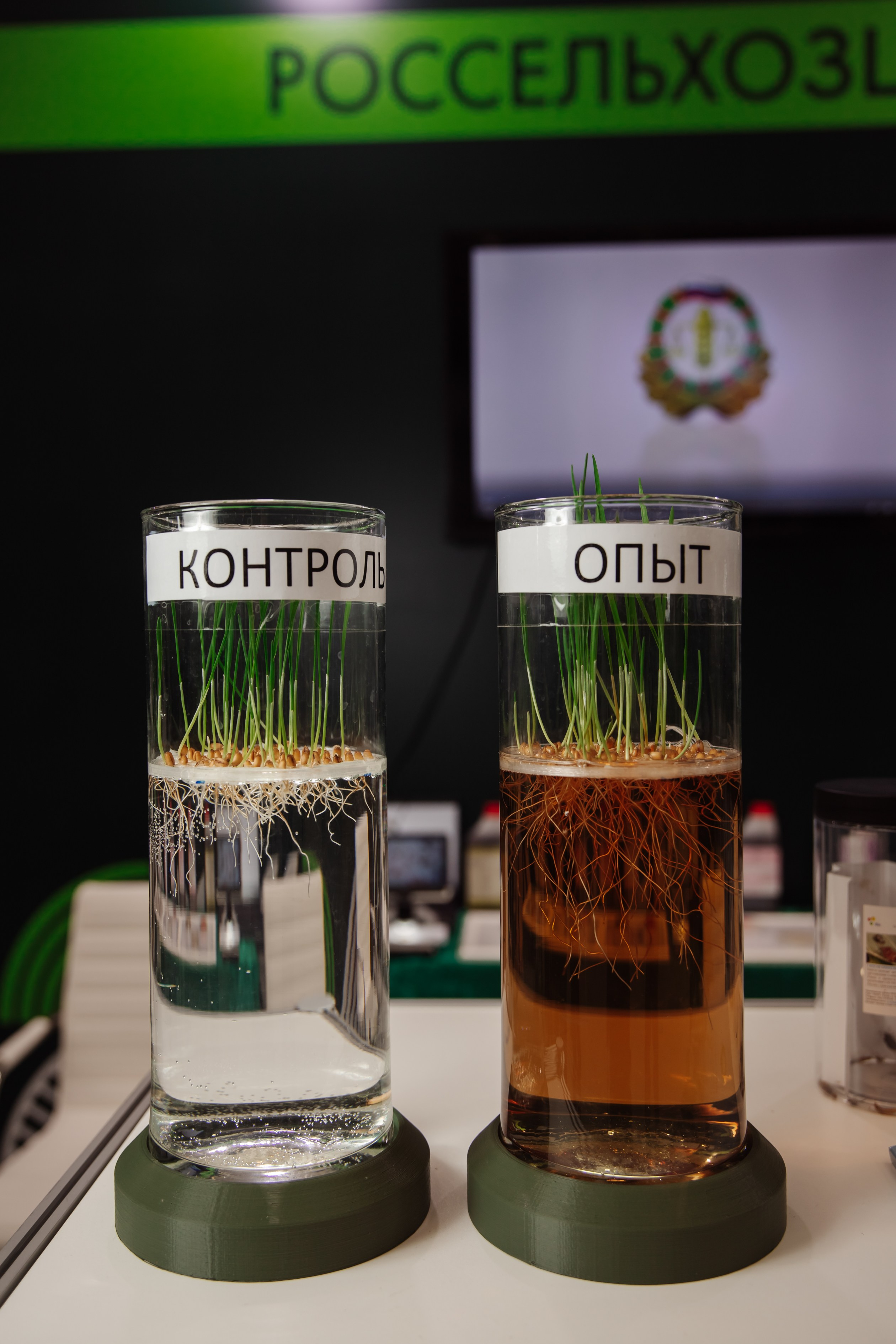 Конференции и мероприятия. Люксмедиа — это команда фотографов и видеографов. Город Казань. Дамир Сафин