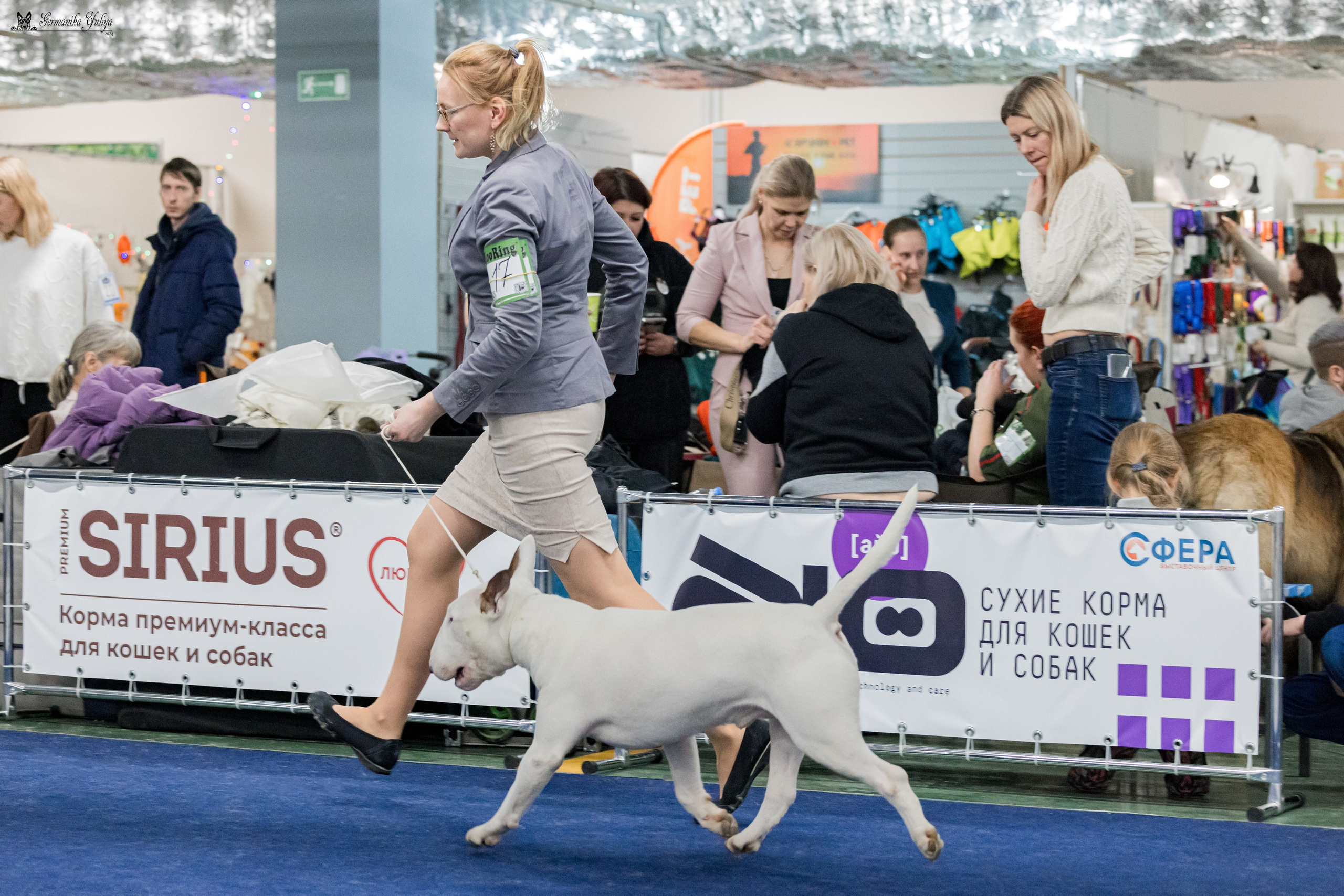 Сфера 28.01. и 4.02.2024. Фотограф-анималист Юлия Германика