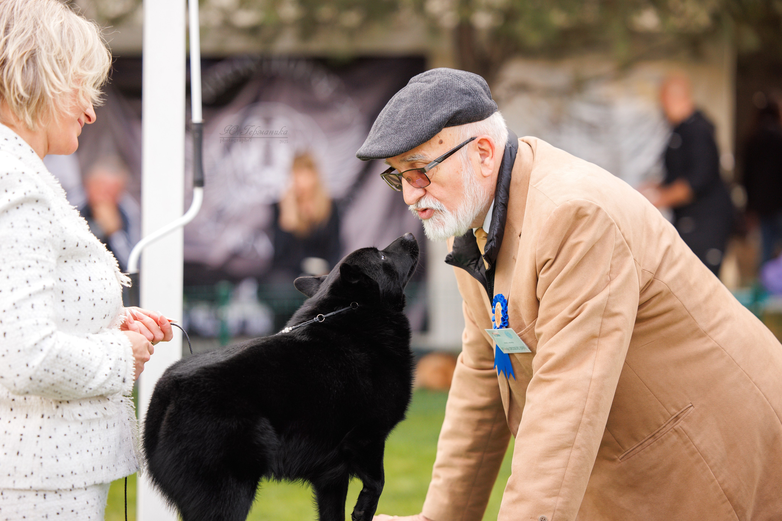 Бишкек 3х CACIB 26-28.09.2025. Фотограф-анималист Юлия Германика