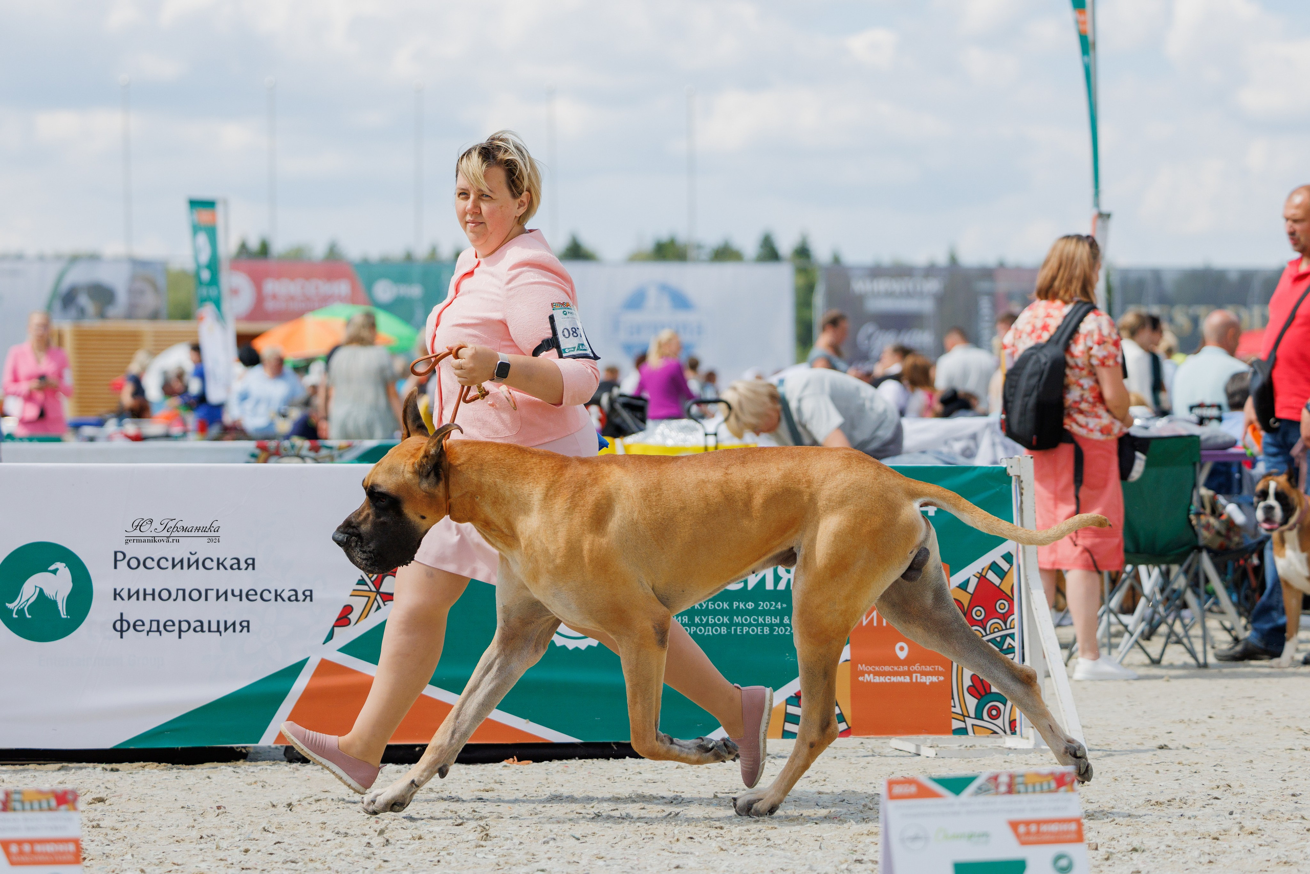 РОССИЯ 8-9.06.2024. Фотограф-анималист Юлия Германика