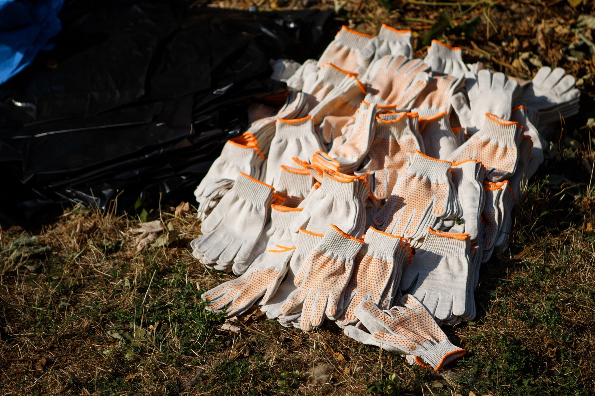 Субботник МАГНИТ. Репортажный и свадебный фотограф в Краснодаре