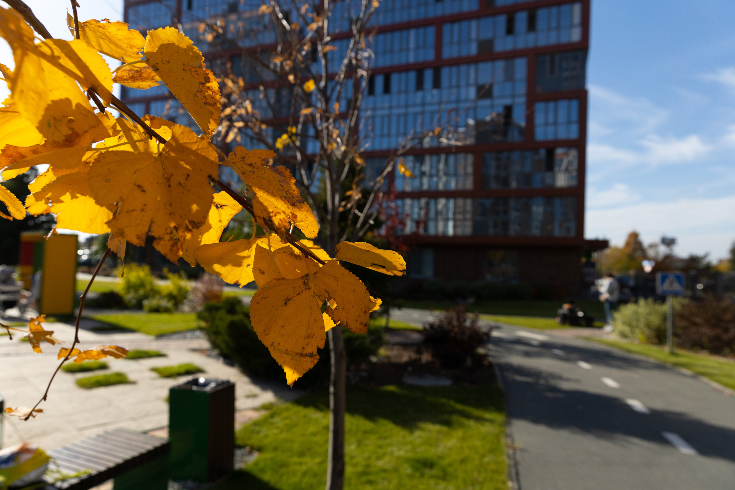 Недвижимость, архитектура и дизайн моими глазами. Репортажный фотограф в Новосибирске Алена Помазунова