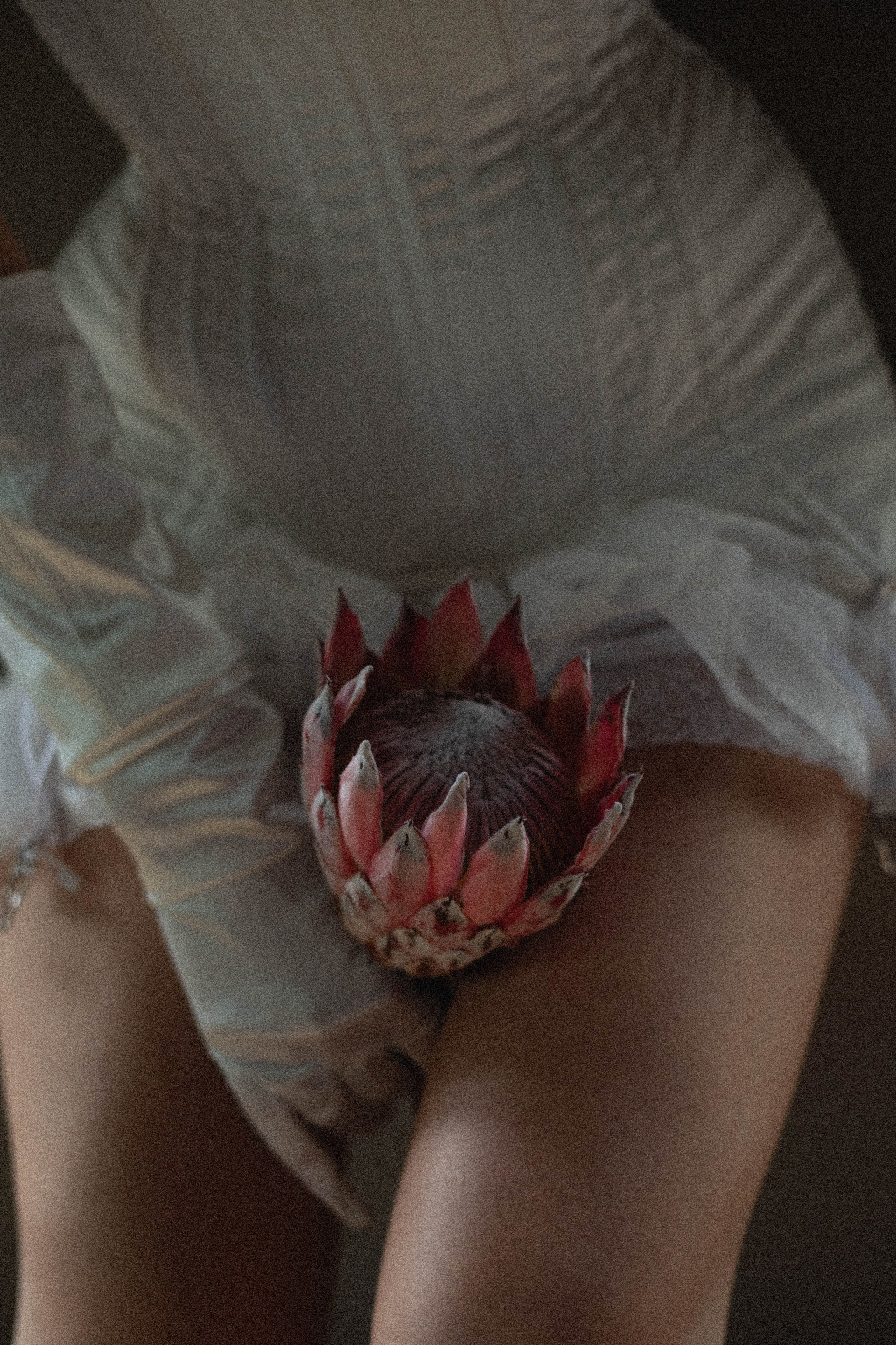 Женственность. Свадебный и семейный фотограф в Москве