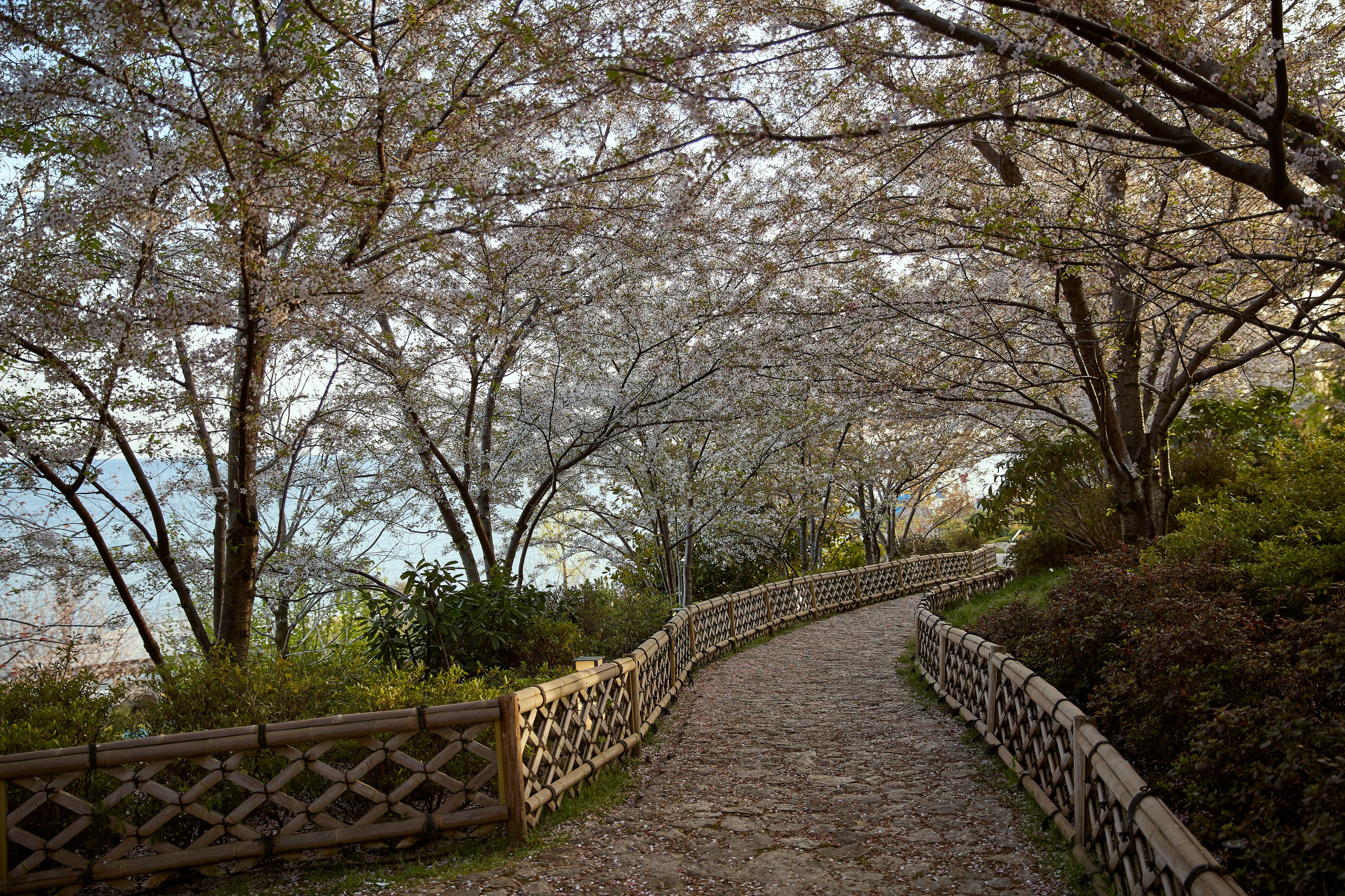 КРЫМ. Репортажный и мужской фотограф в Краснодаре. Фотограф в Краснодаре