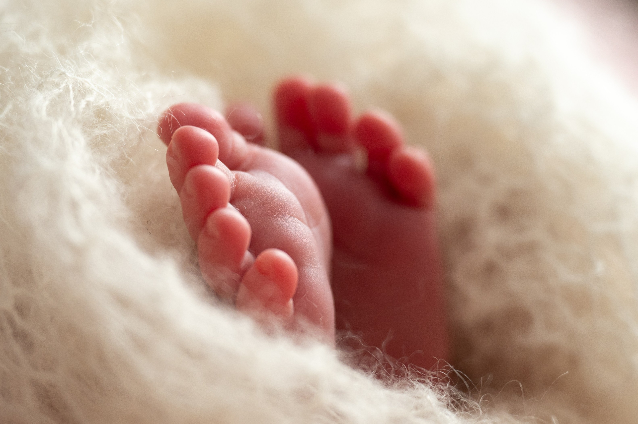 Newborn. Семейный и детский фотограф в Москве Дмитрий Палеев