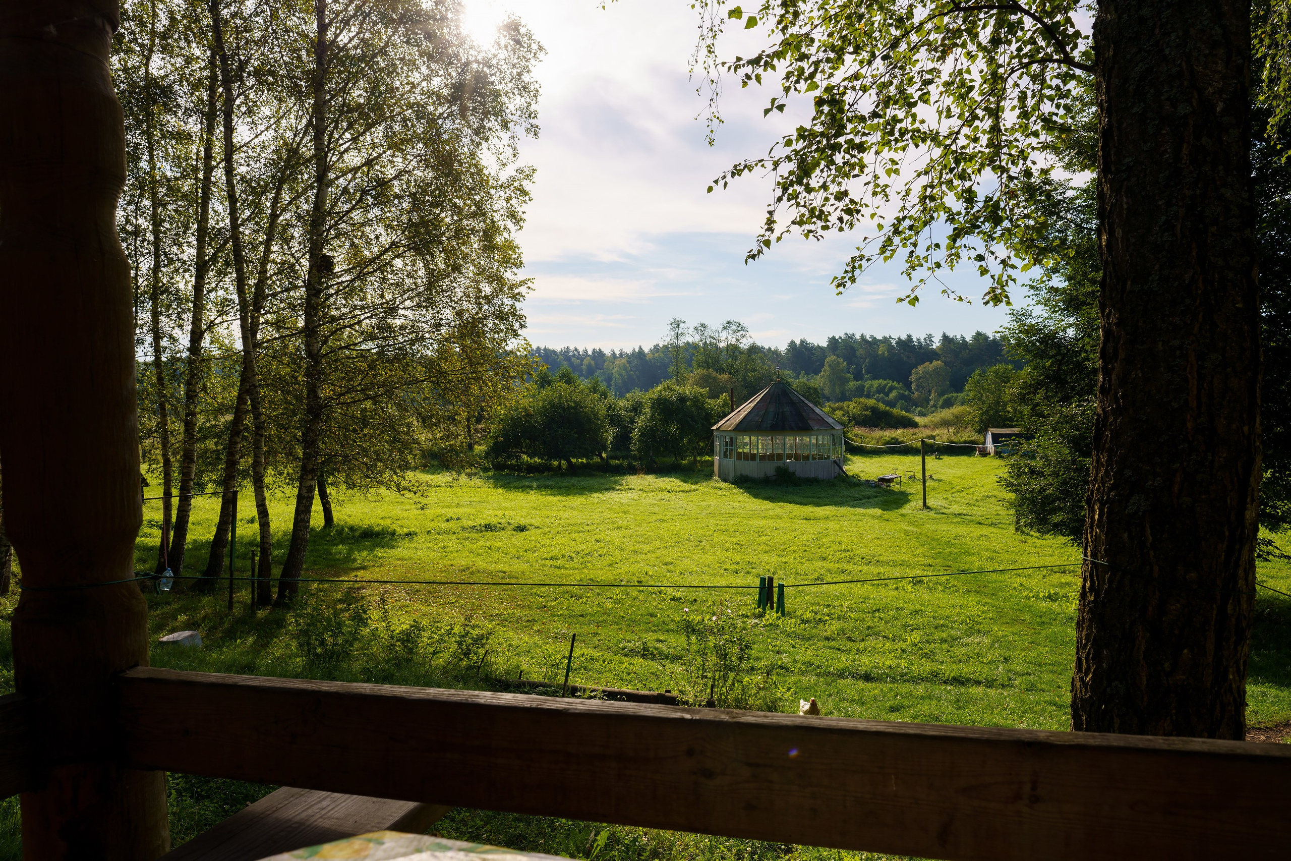 Фотографии Национальный парк Угра. Фотограф спортивные события, недвижимость, турбизнес