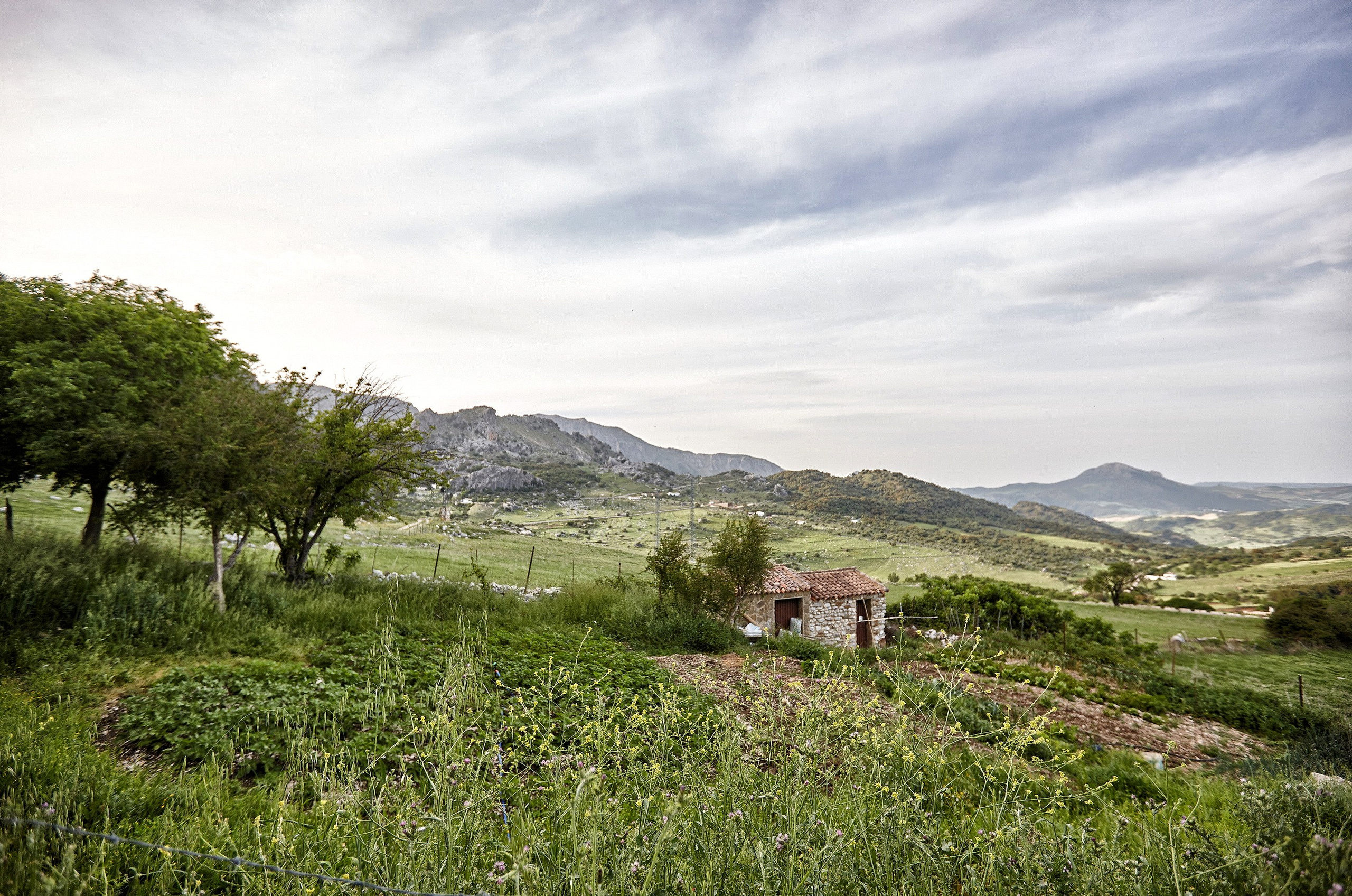 Ginnes Serran-Pagan. Художник. Скульптор. Поэт. Философ. Фотографирую масштабные события, людей и их истории по всему миру. Константин Трубников