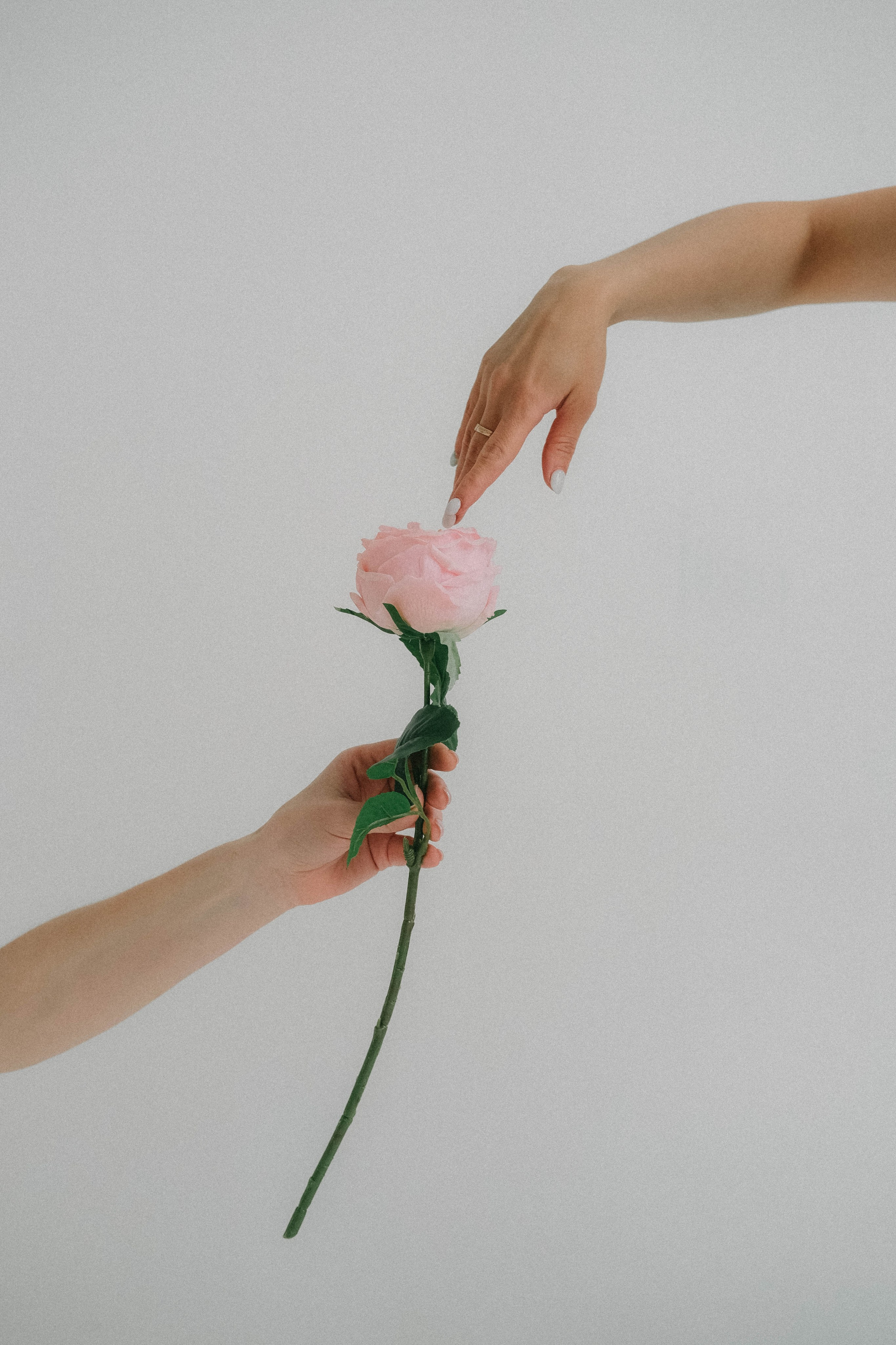 ЛЕНА. Женский фотограф Татьяна Ветер. Работаю в Волгограде