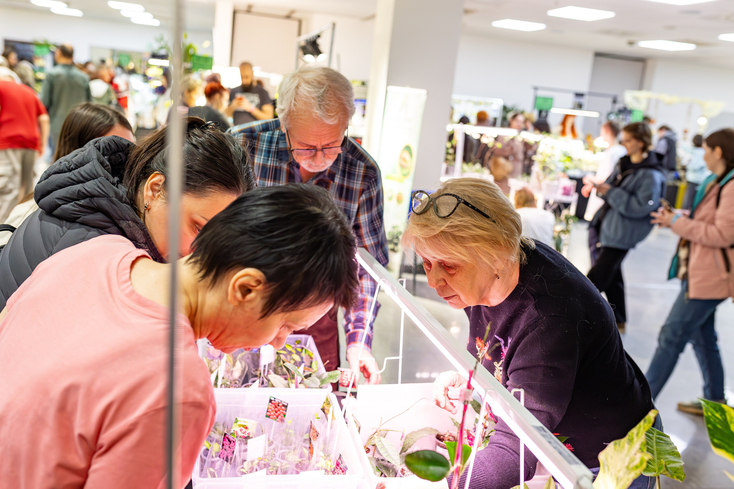 Монстериум апрель 2026. Александра Куликова фотограф, Москва