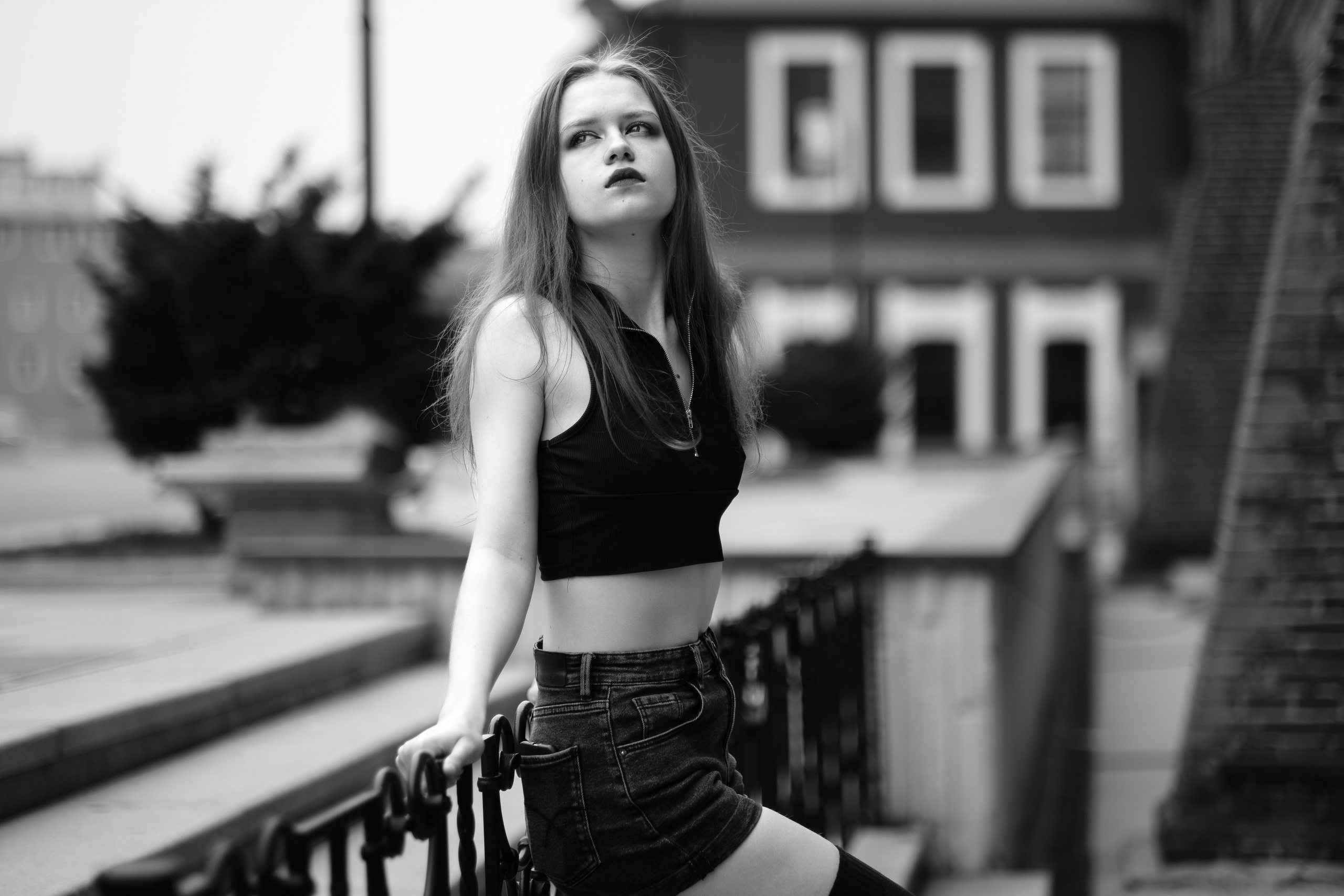 The grotesque. Aleksandr Schafft