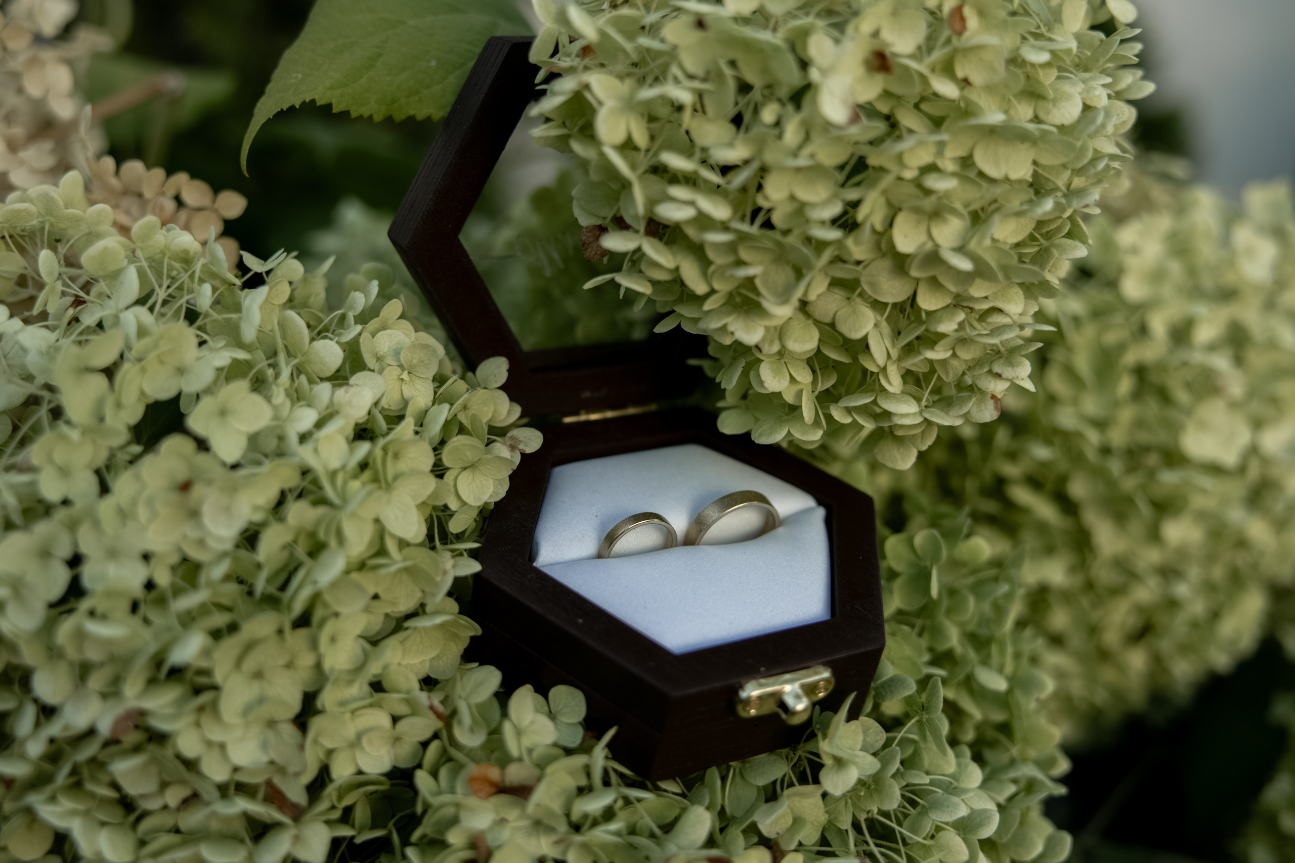 Роман и Алина (выездная регистрация). Фотограф Краснодар