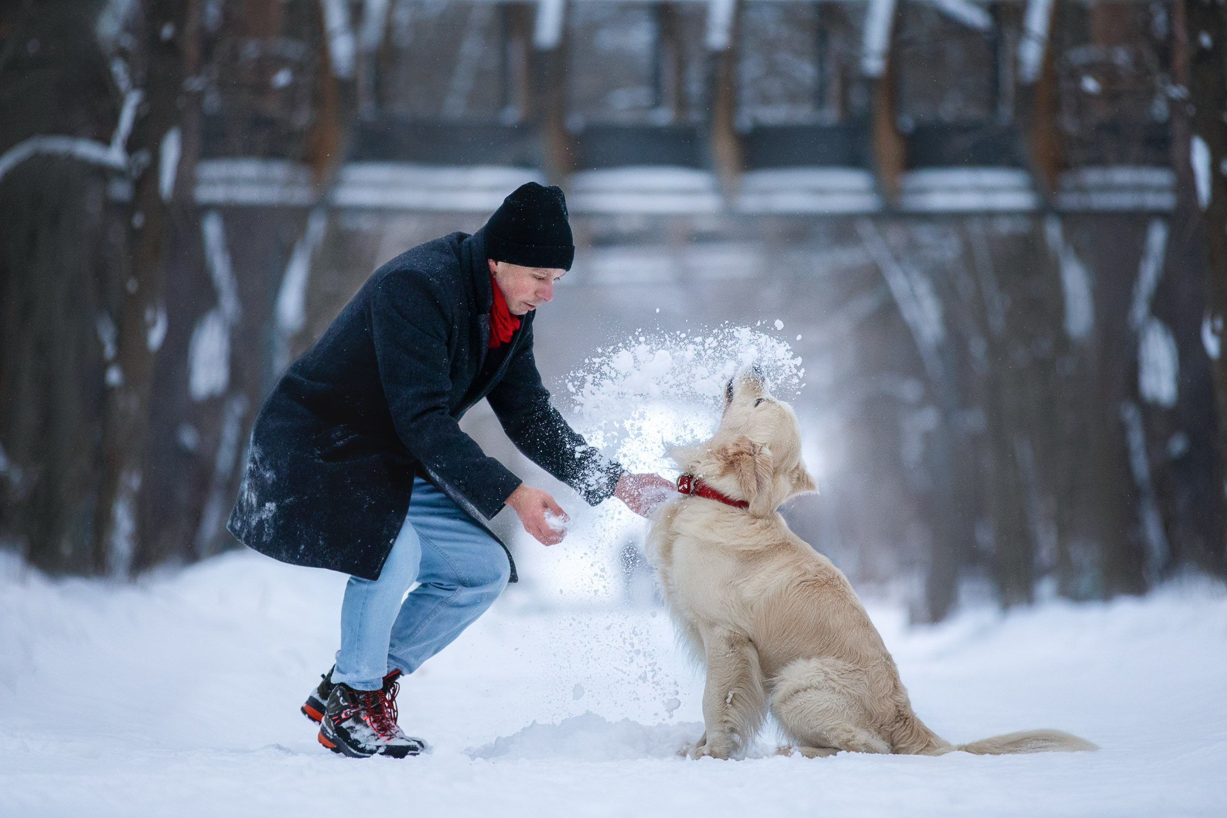 Фотосессия хозяина и ретривера. Фотограф-анималист в Москве и Московской области Татьяна Фролова