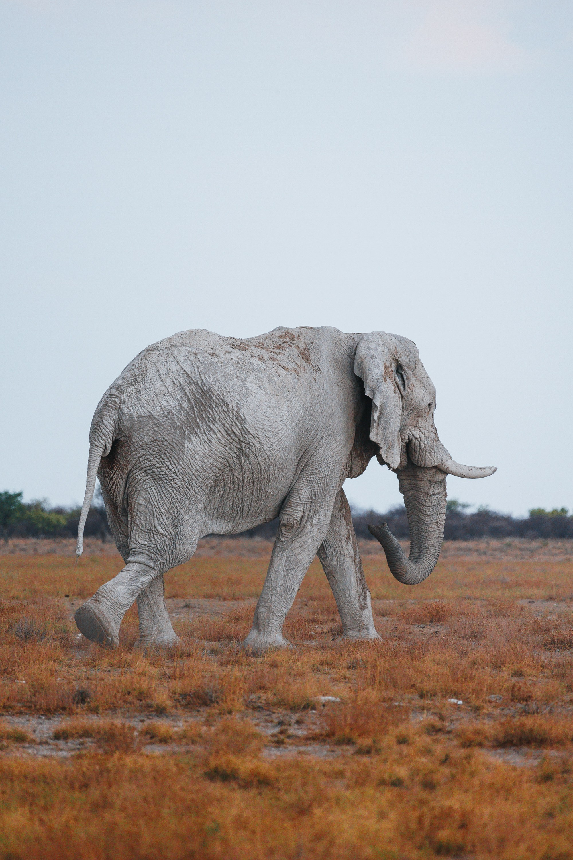 НАМИБИЯ. Роадтрип