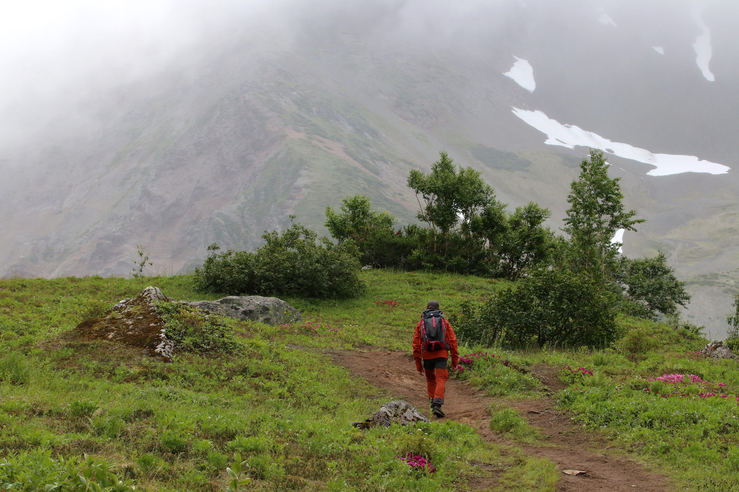 Камчатка и о. Парамушир. Июль 2024. Путешественник-фотограф из Санкт-Петербурга Татьяна Свистулина