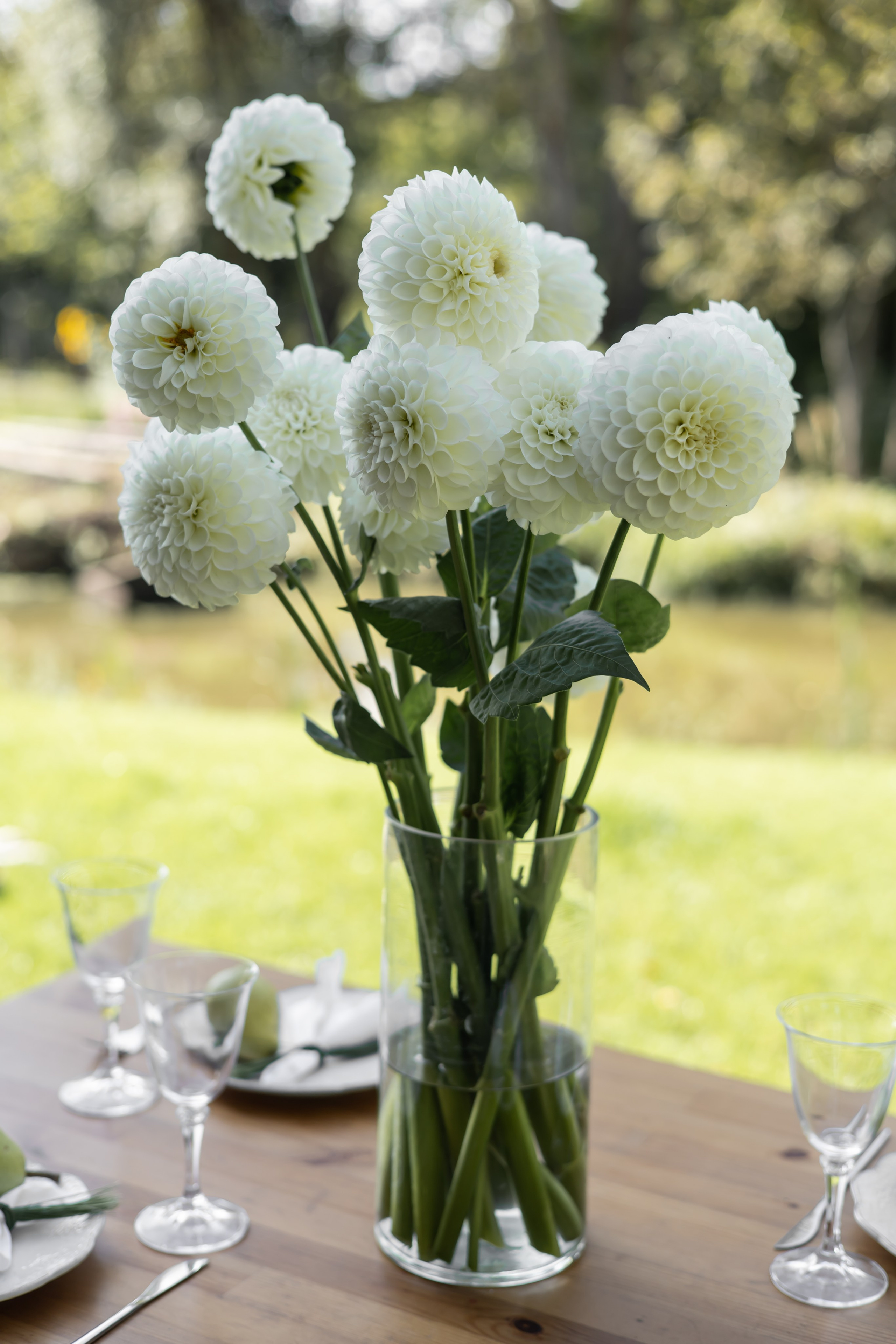 ДИНИЯ. Фотограф Элла Ефимова