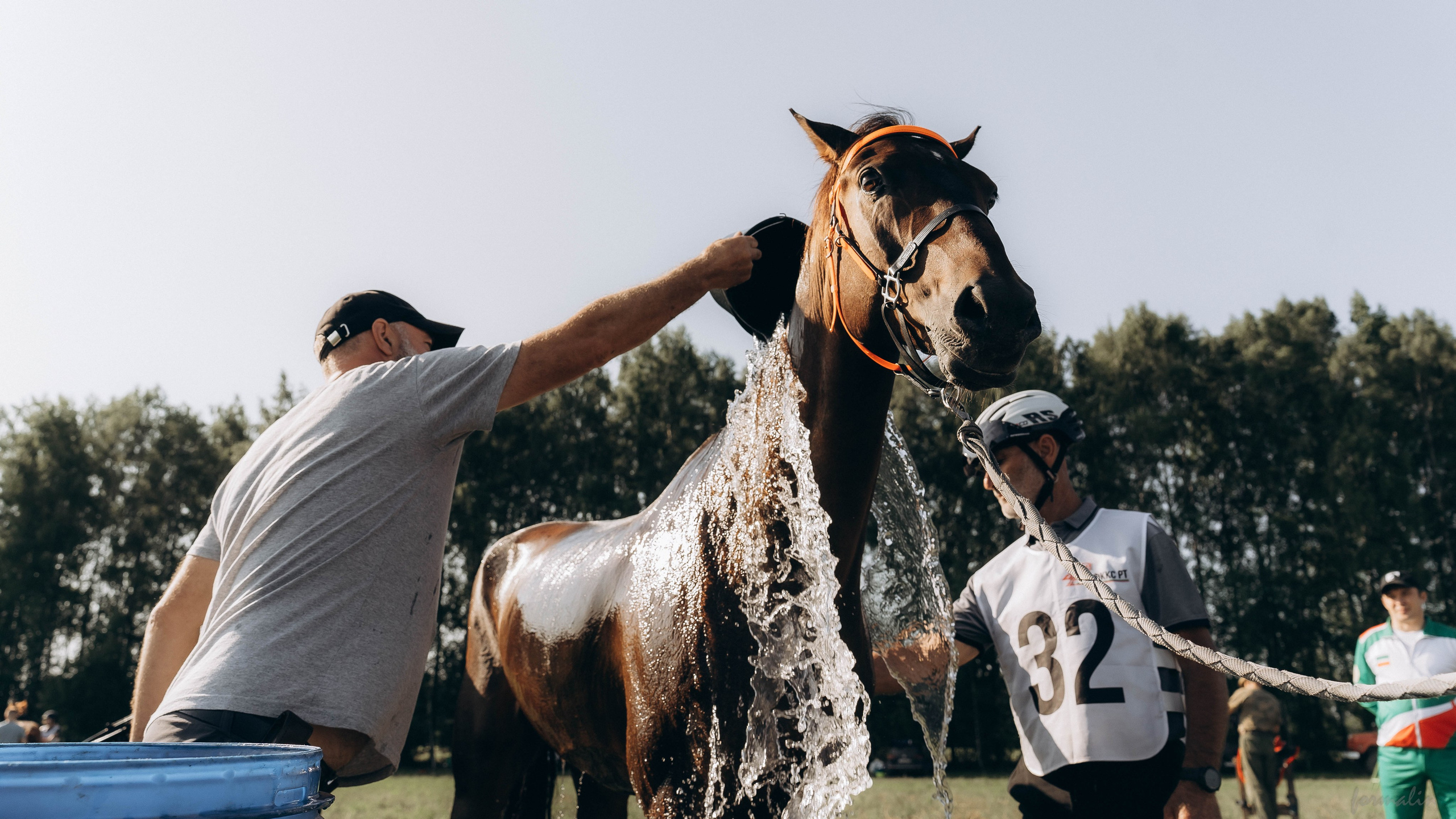 День Коня. Алиса Никитцова | Фотограф в Казани