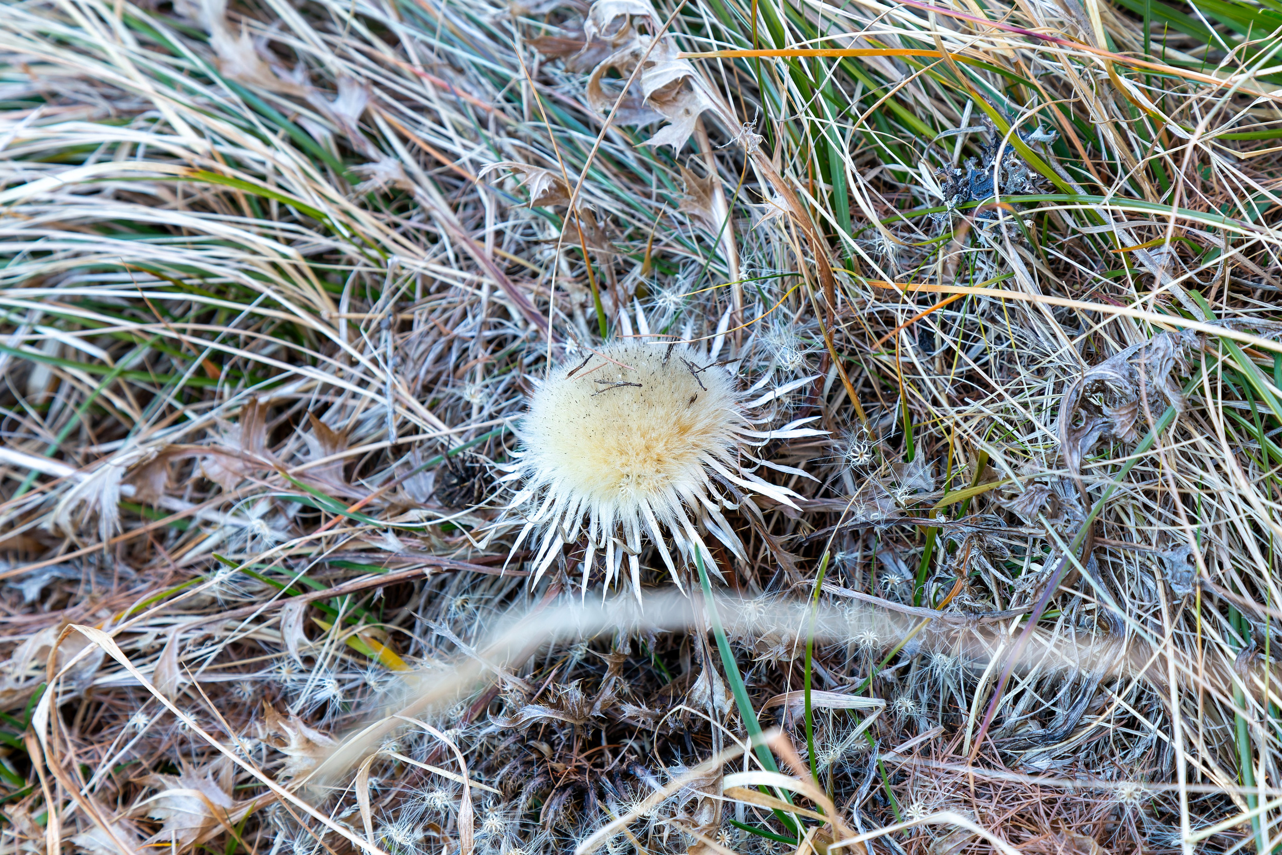 Фотосъёмка Альпы Италия, пейзажи и архитектура. «Студия DRONAVT`s» — видеосъёмка и фотография г. Москва