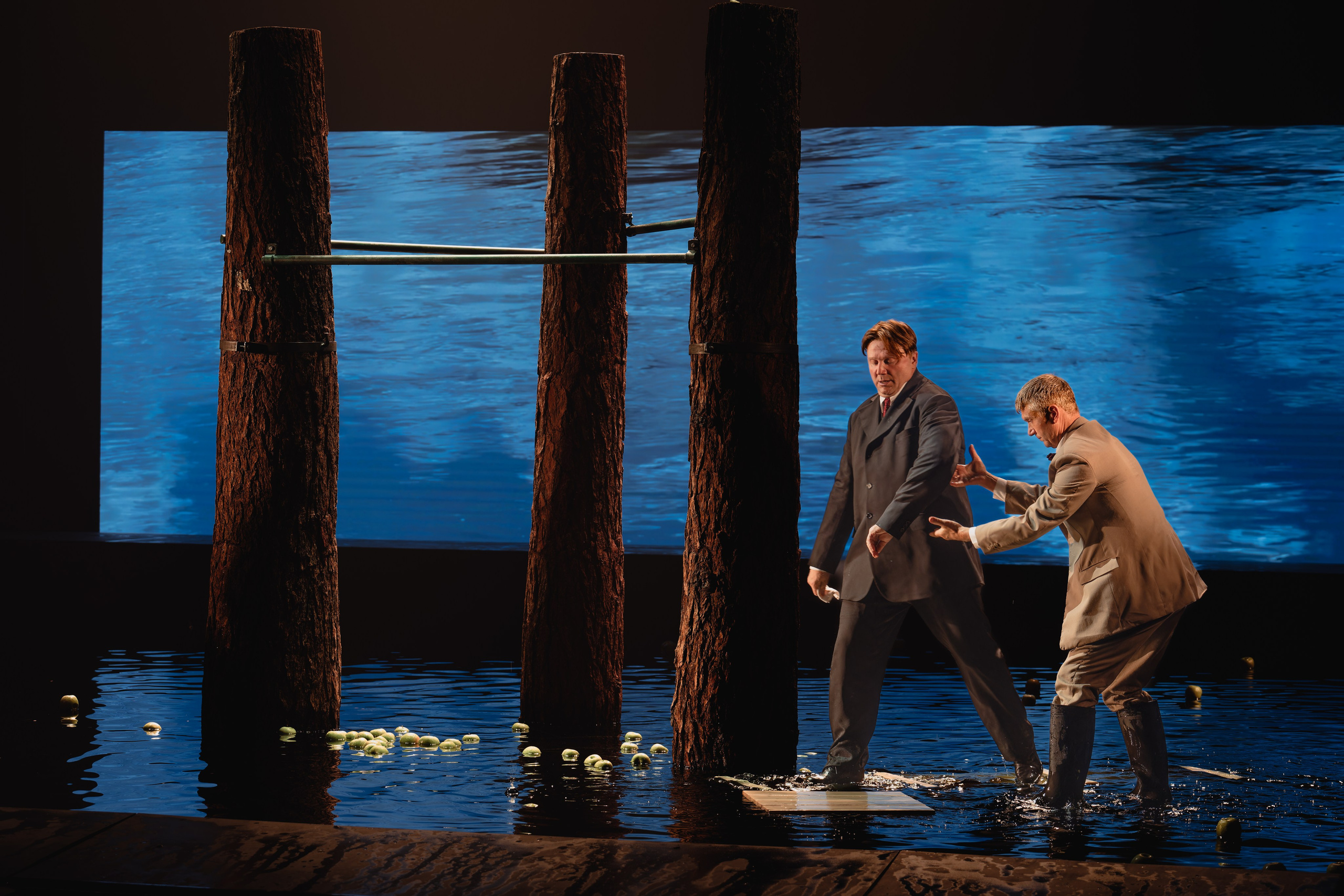 Театр Маяковского: Лес. Сайт фотографа Сергея Абрамова