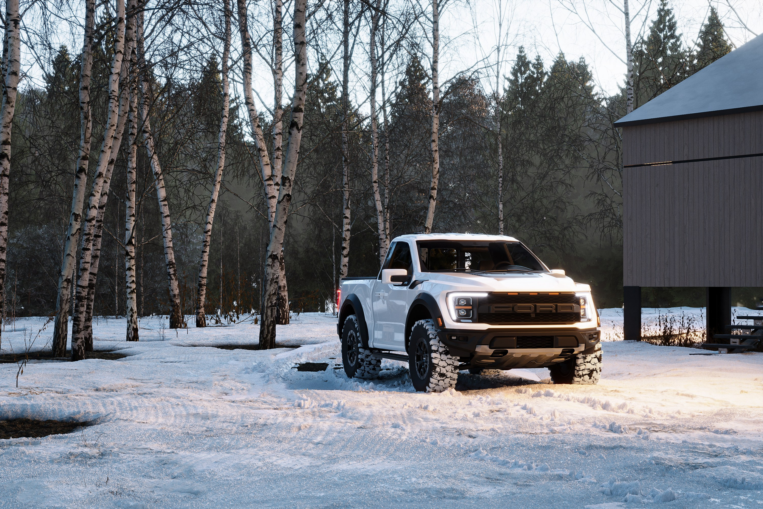 Winter country house. 3D визуализация интерьера и архитектурной среды