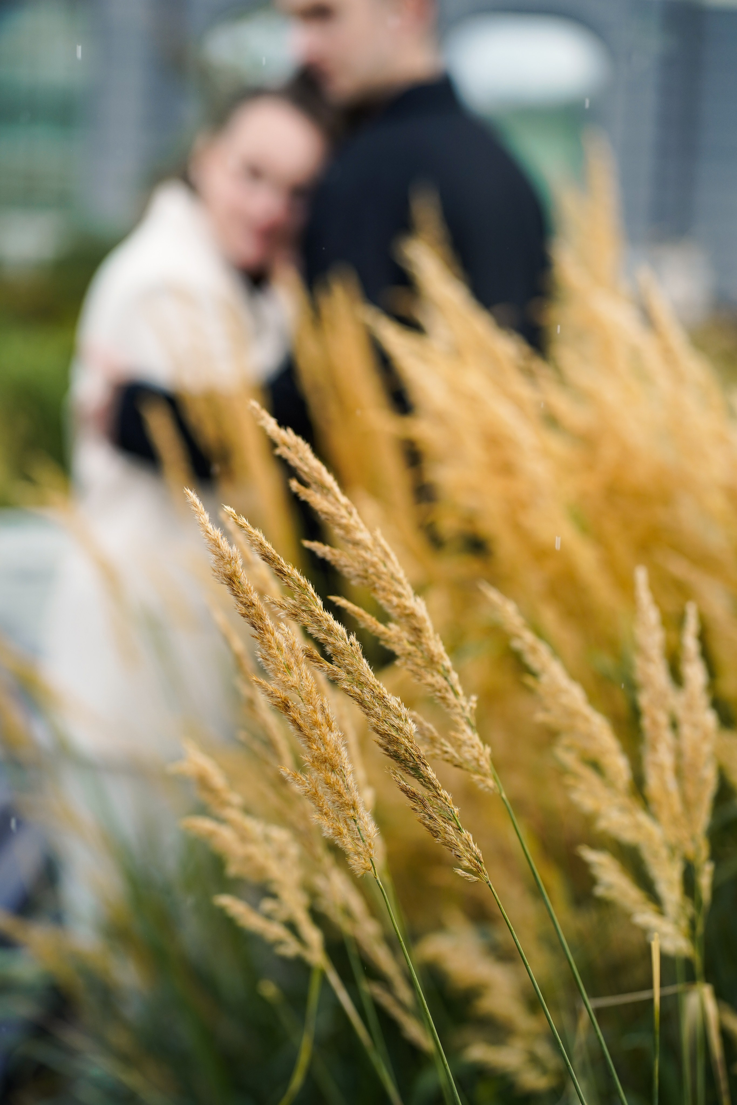 Олег и Татьяна 26.08.23. Семейный и портретный фотограф в Екатеринбурге Анна Лобанова