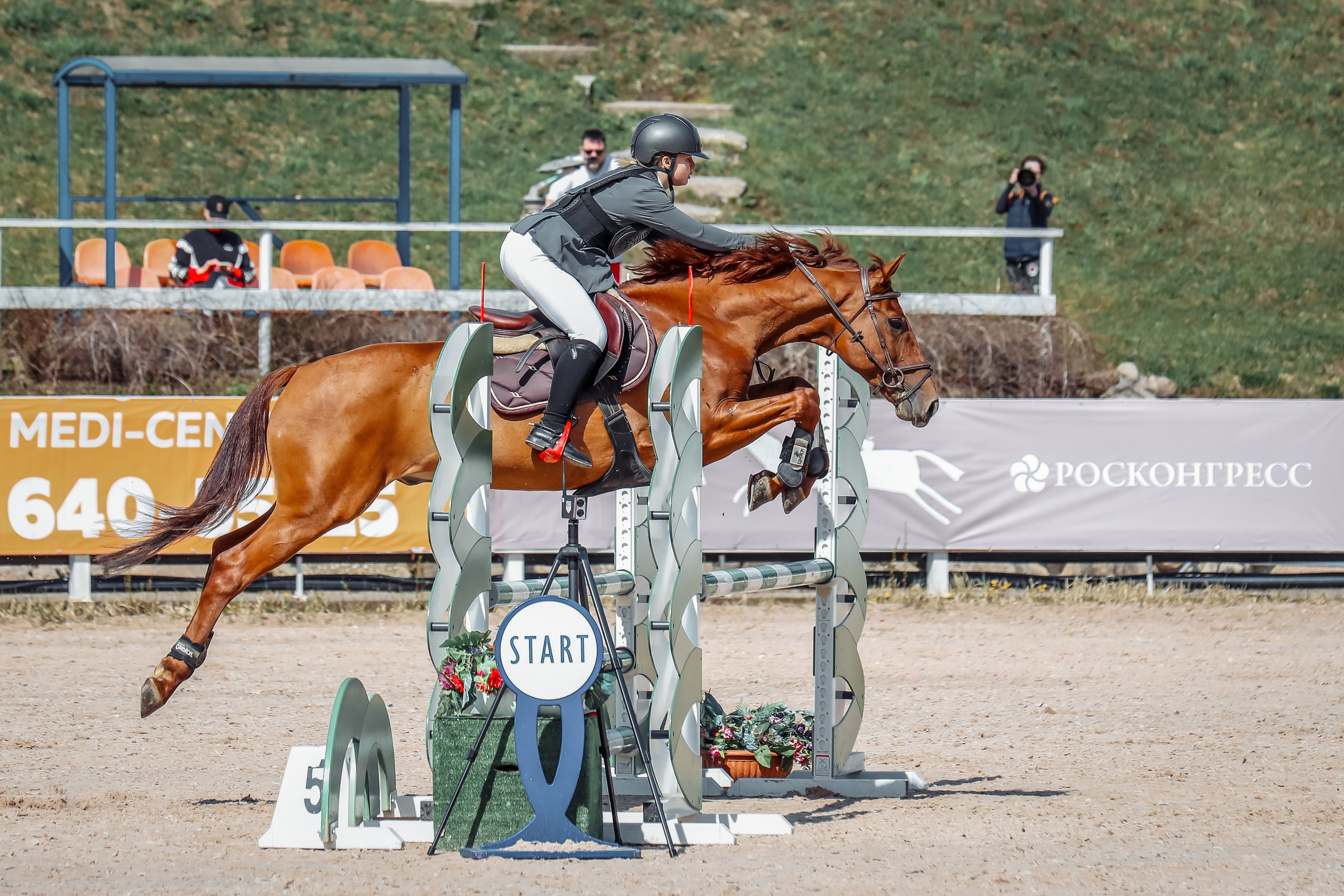 Лошади Евы Демидовой. Ева Демидова. Спортсмен по конкуру в Санкт-Петербуре