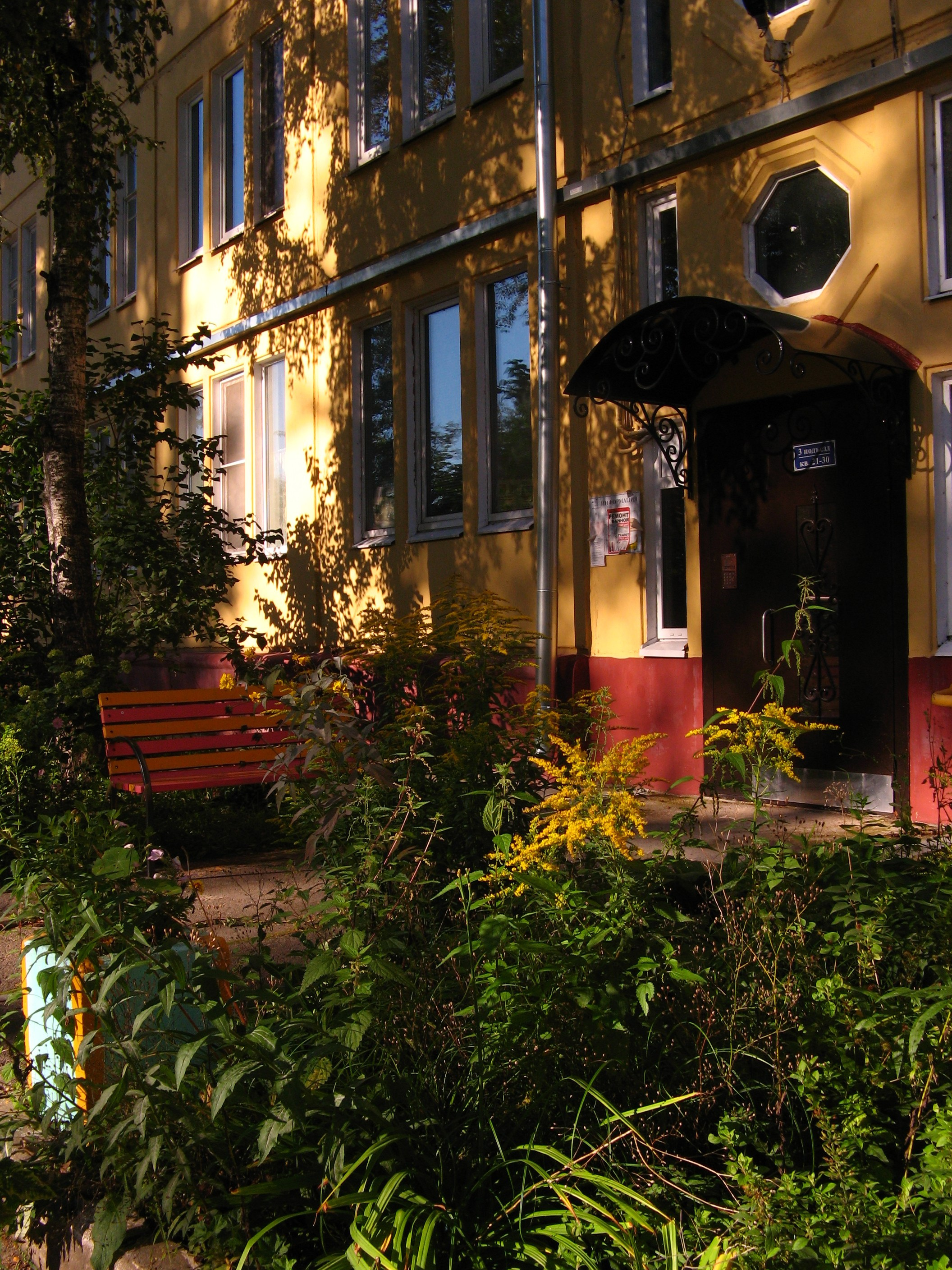 Сентябрь 2025. Den Mirov — Фотограф, Музыкант