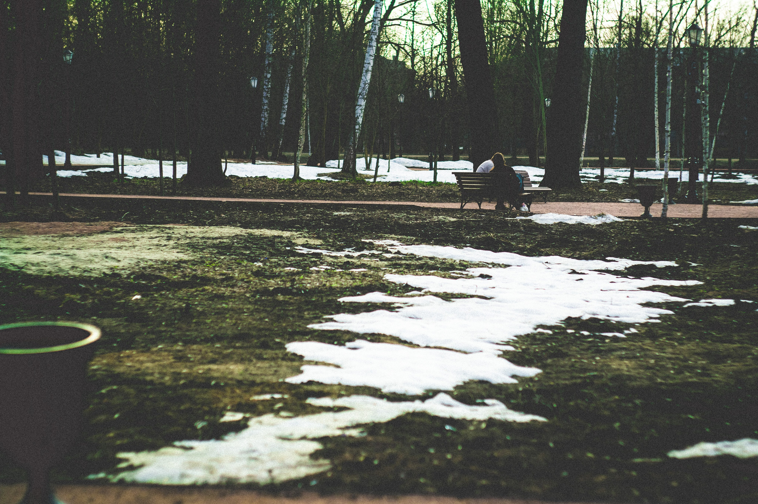 Kingdom. Den Mirov — Photographer, Musician