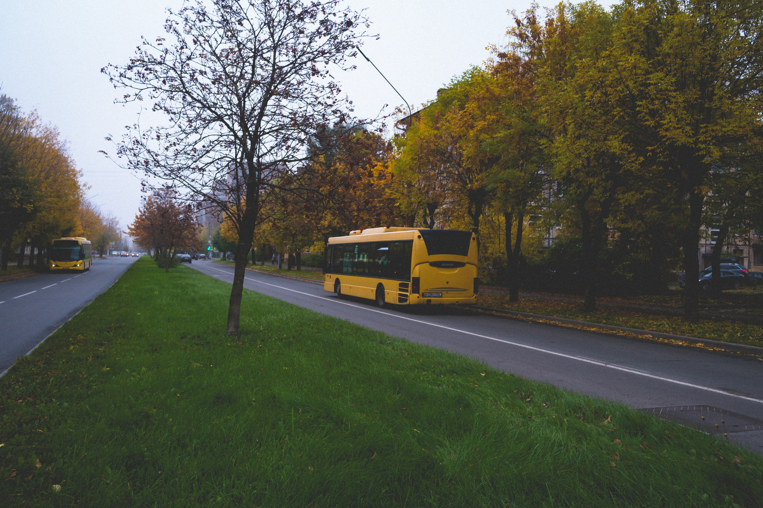 Октябрь 2025. Den Mirov — Фотограф, Музыкант