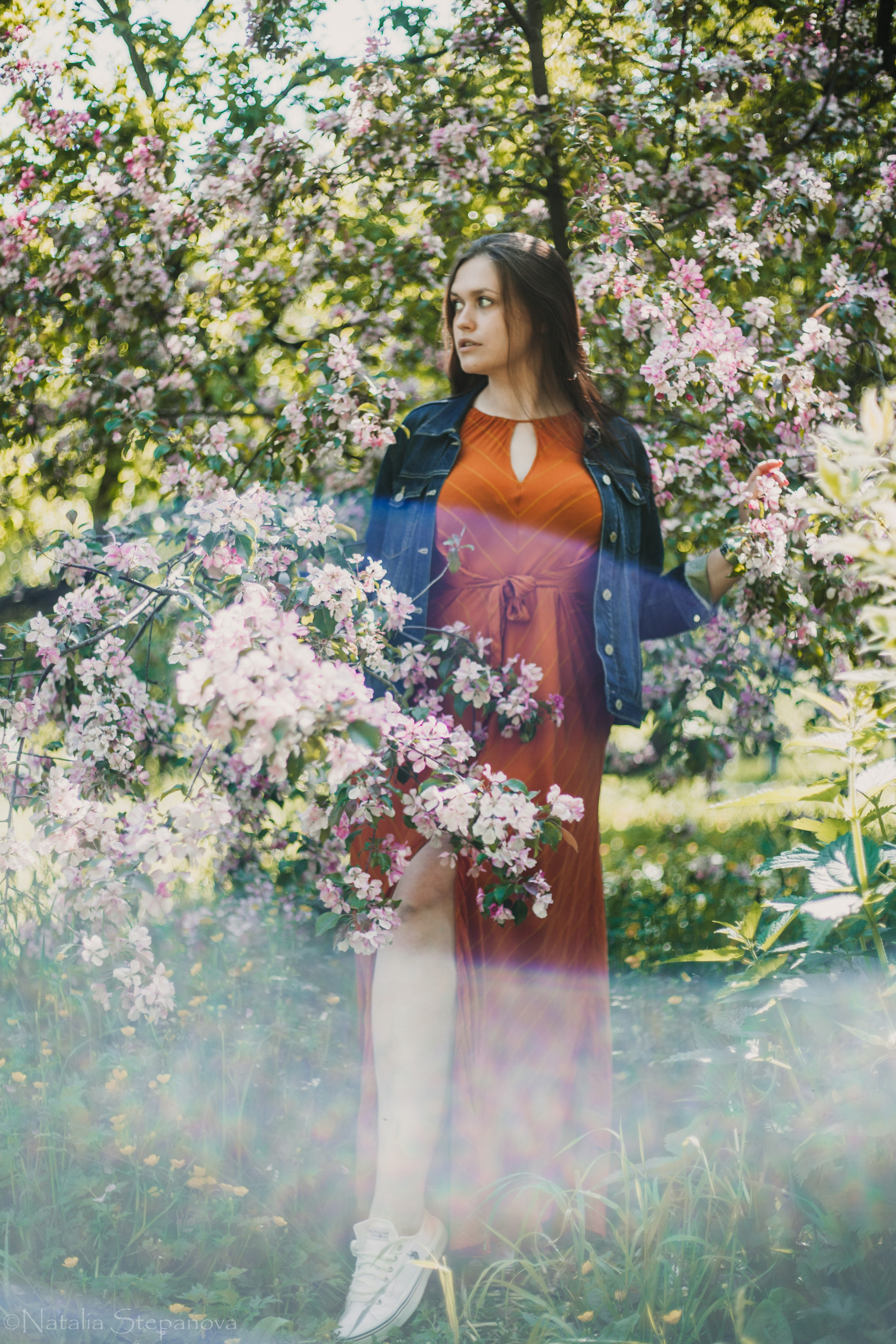 Цветущие яблони. Мультижанровый фотограф в Москве Наталия Степанова