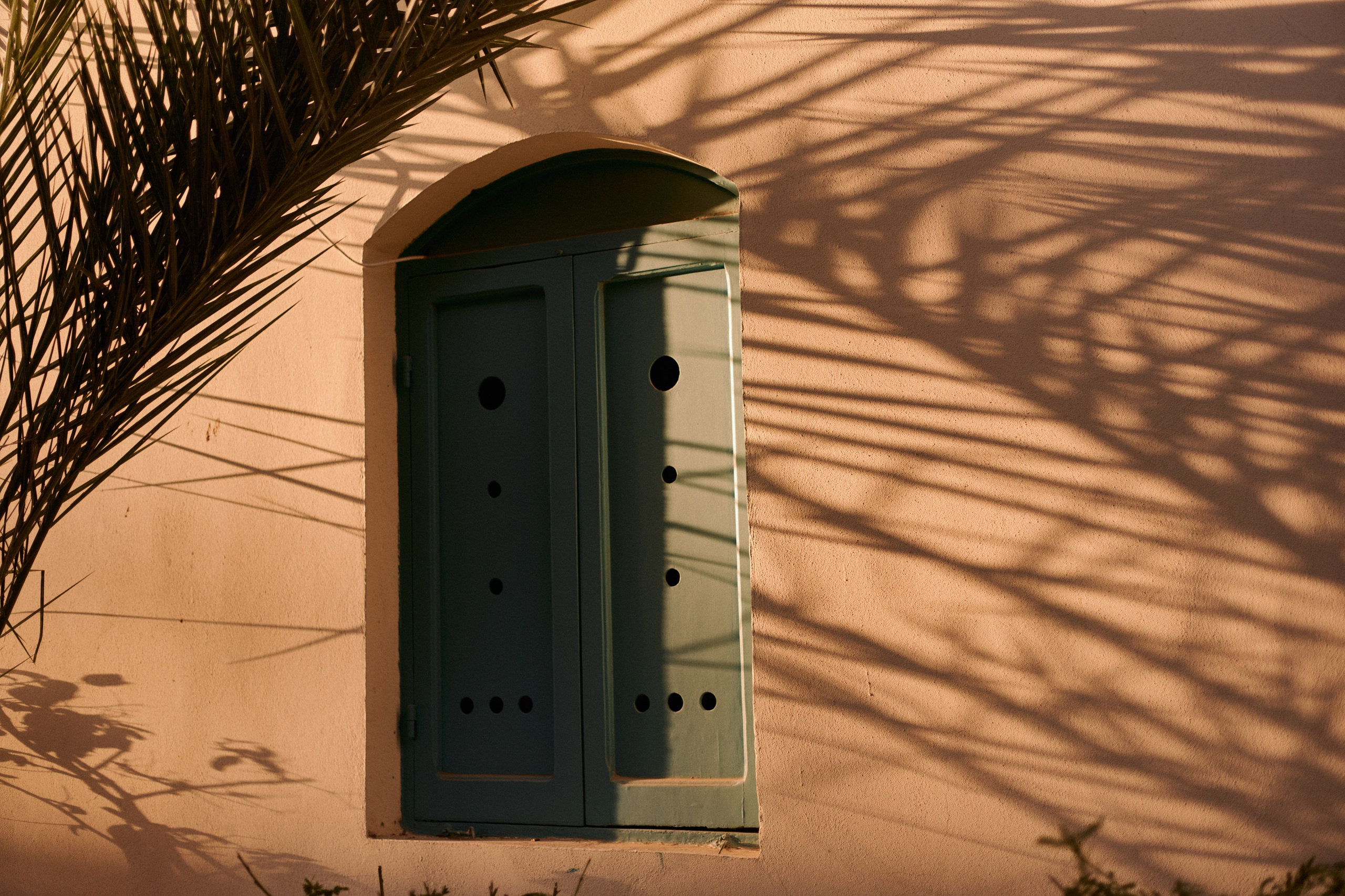 Другое 3. Jorgis Talè — photographer, kind person, teacher of arts and other mag