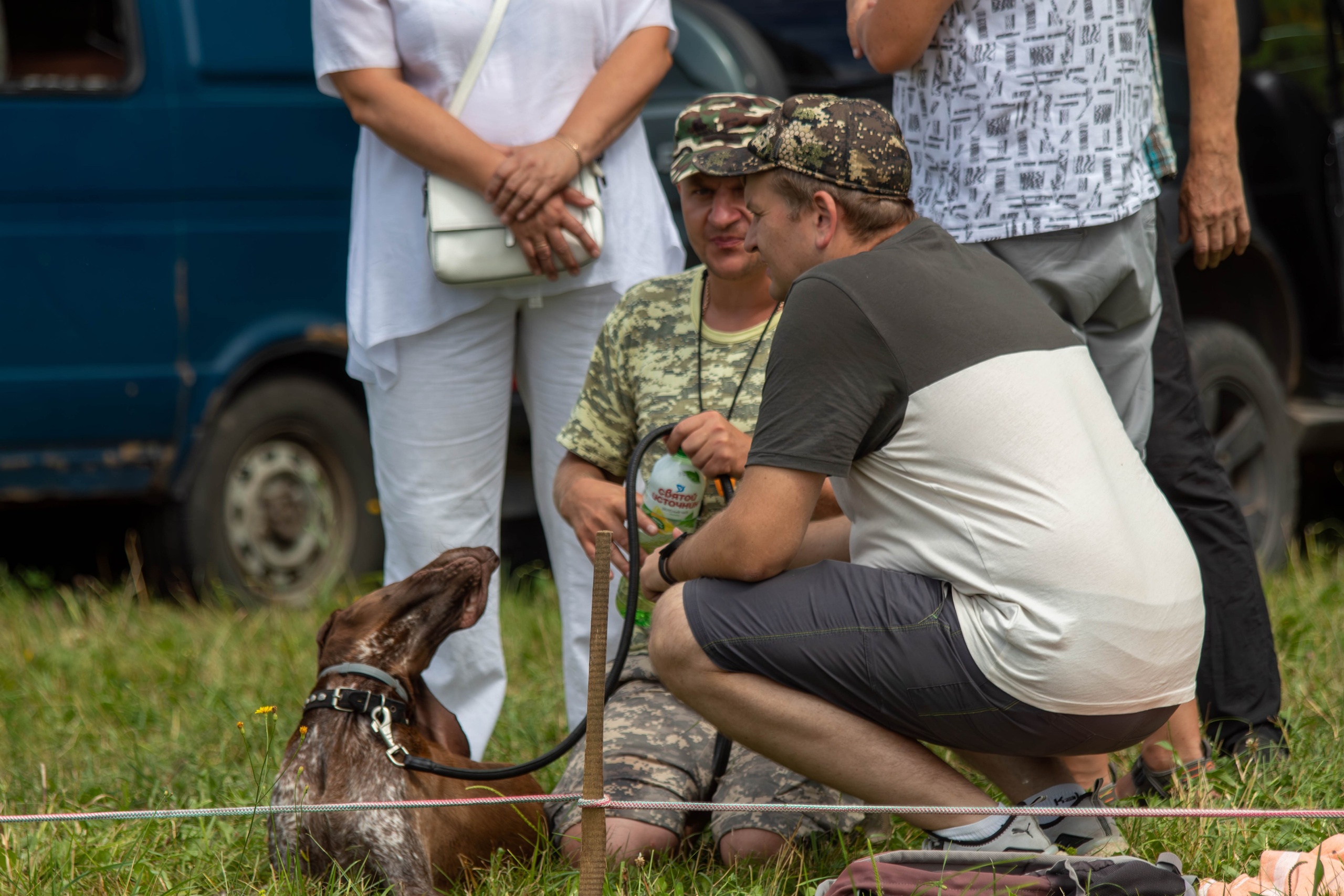 Репортажная съемка в Туле. Фотограф анималист — Тула, Москва