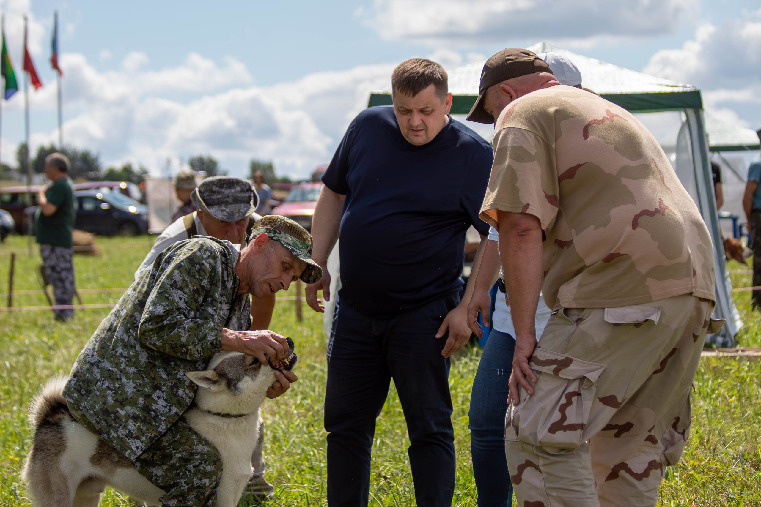 Репортажная съемка в Туле. Фотограф анималист — Тула, Москва