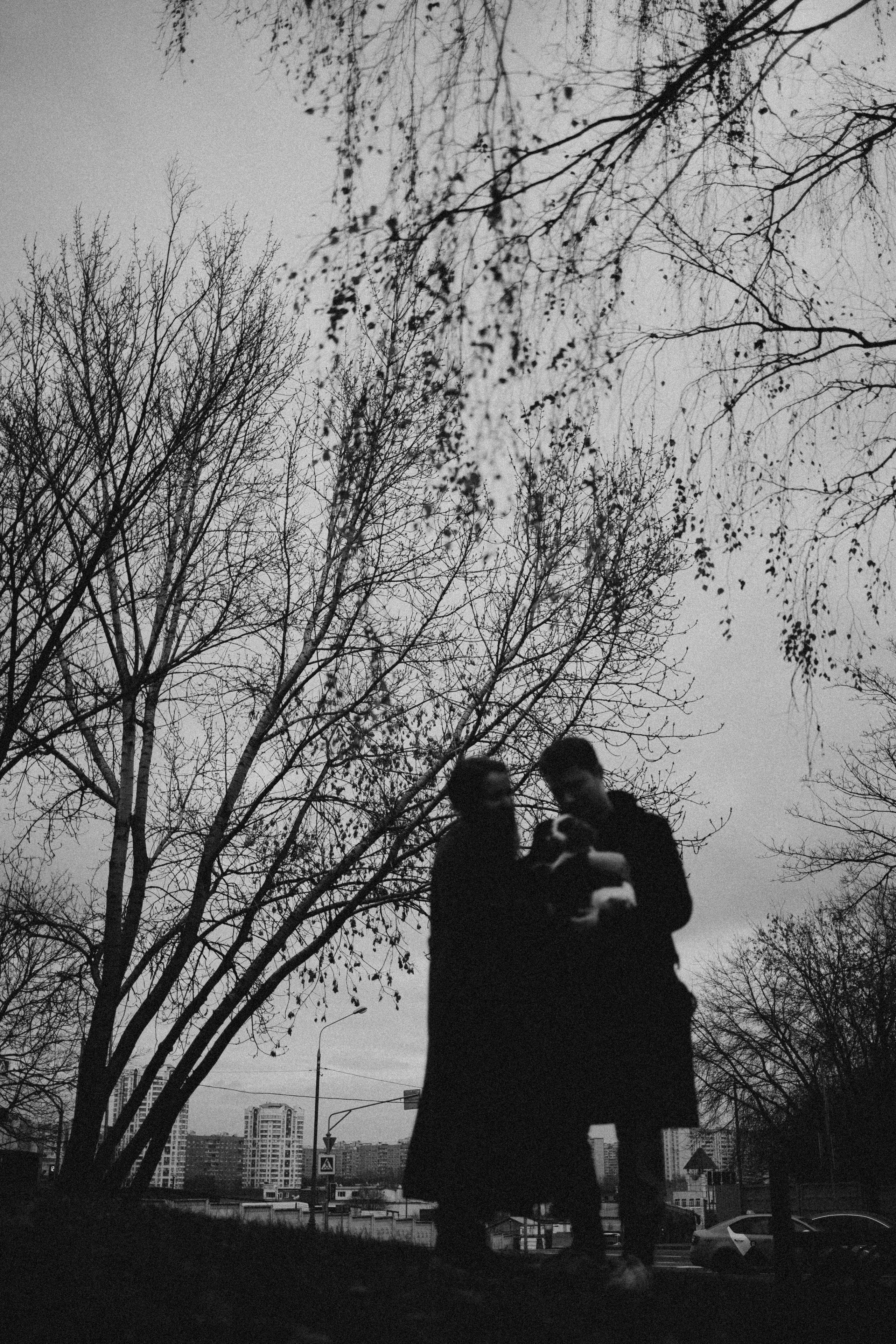 Юля и Кипр. Фотограф-анималист в Москве Лера Черноног