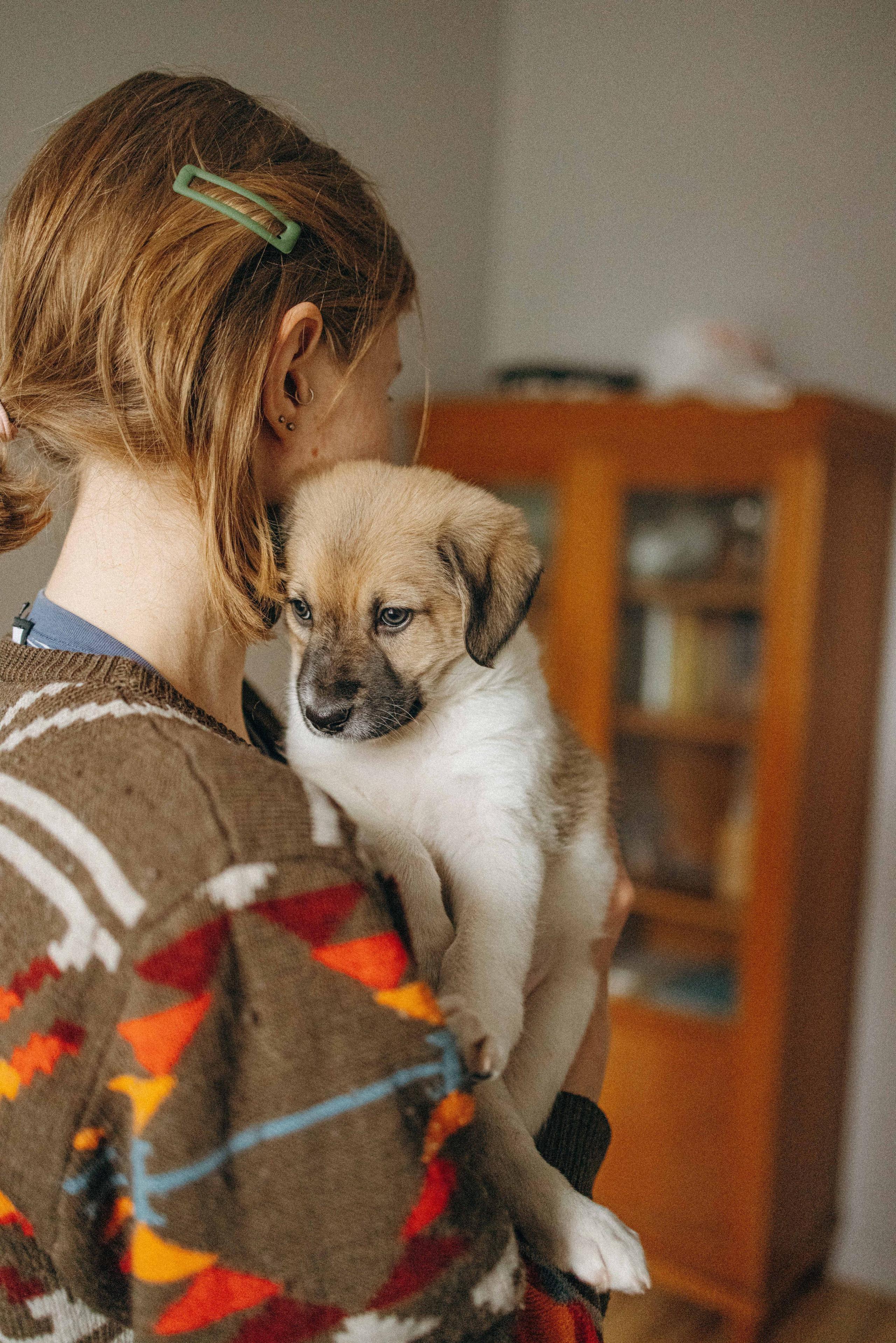Щеночки. Фотограф-анималист в Москве Лера Черноног