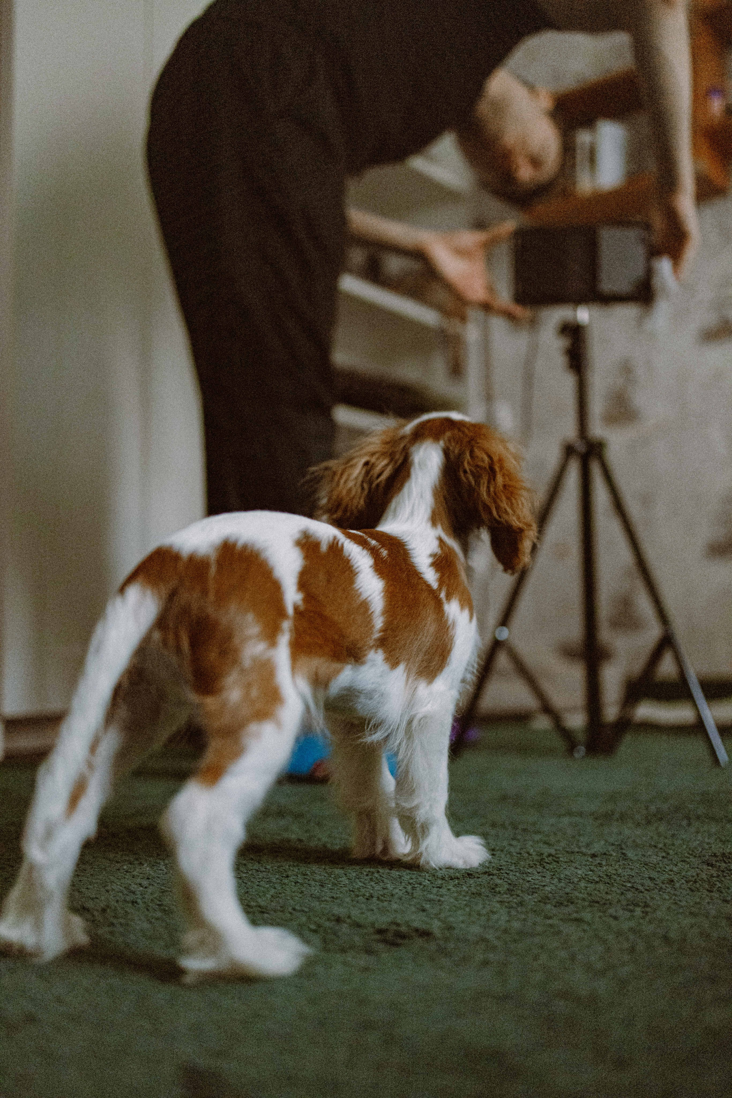 Юля и Кипр. Фотограф-анималист в Москве Лера Черноног