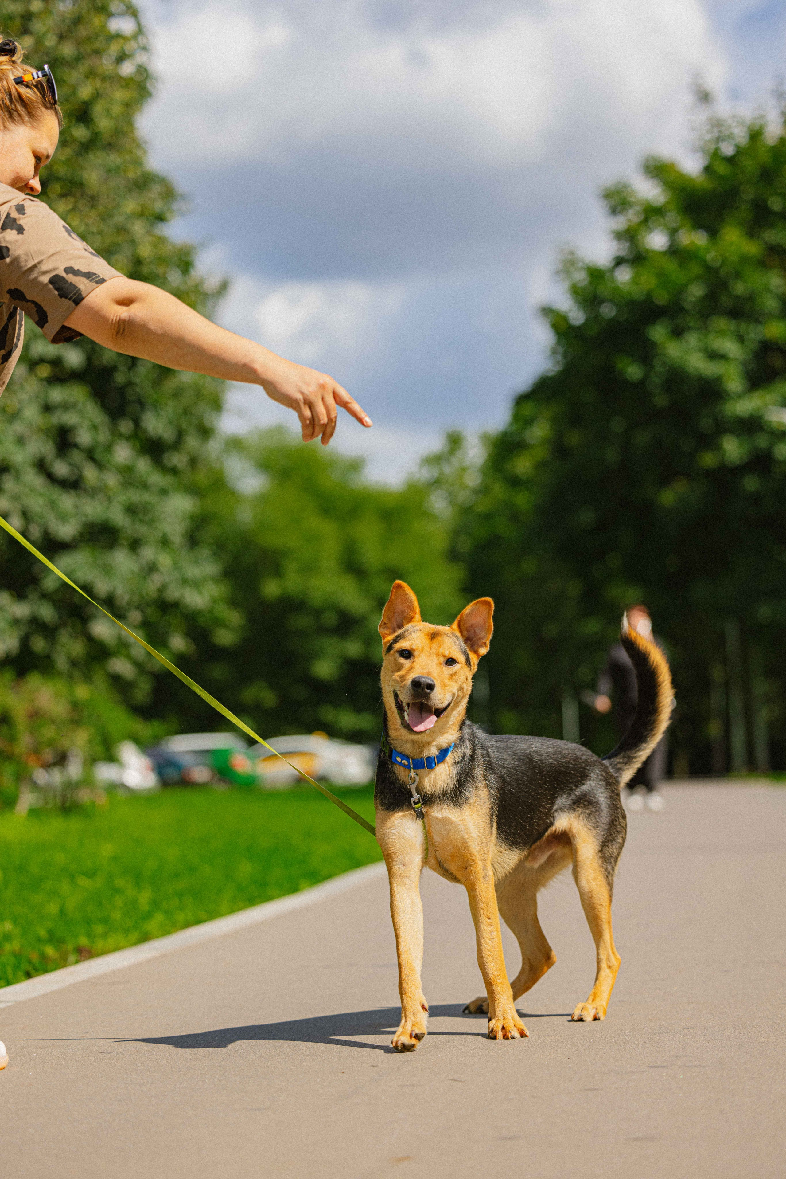 Джеки. Фотограф-анималист в Москве Лера Черноног