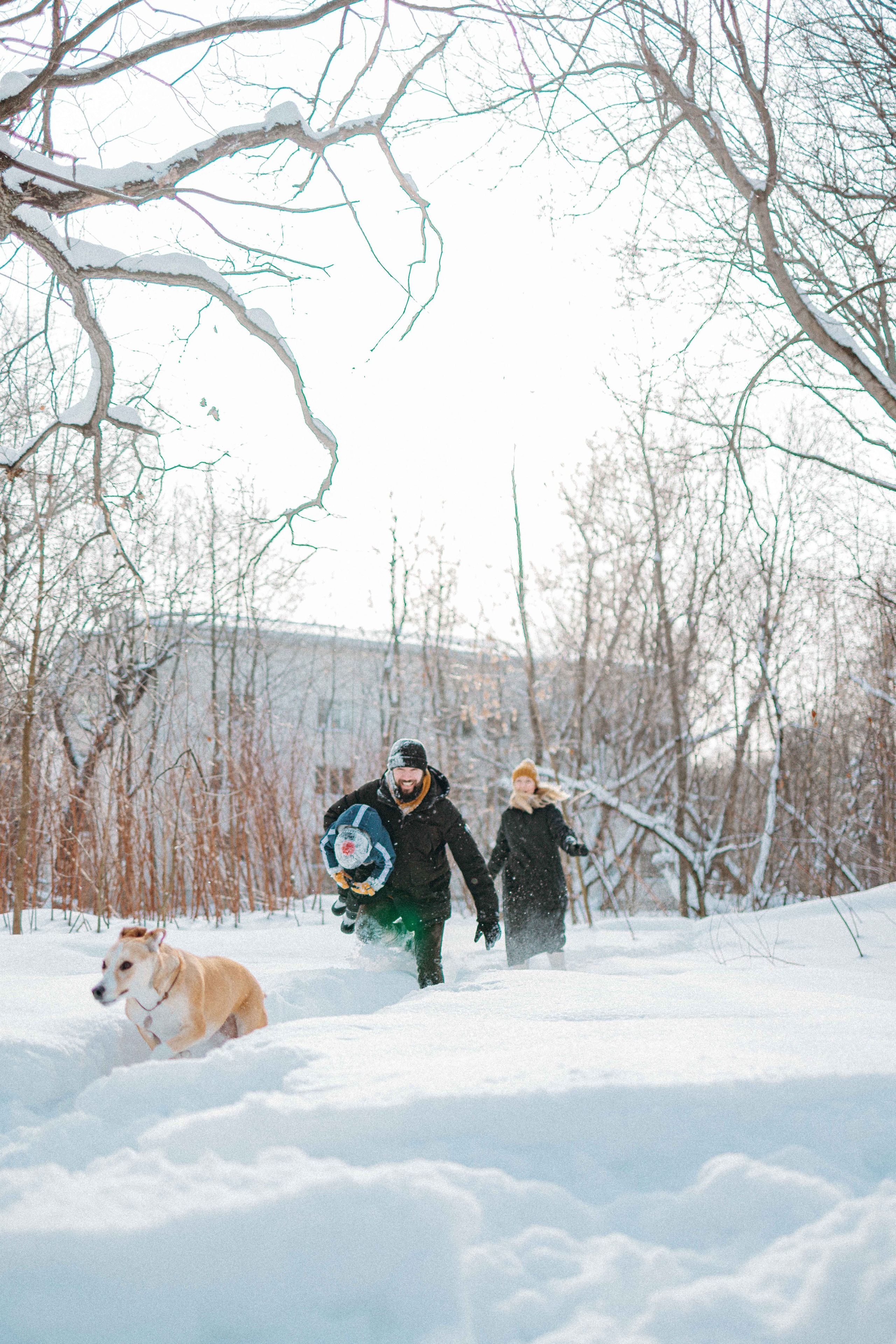Свобода и ее семья. Фотограф-анималист в Москве Лера Черноног