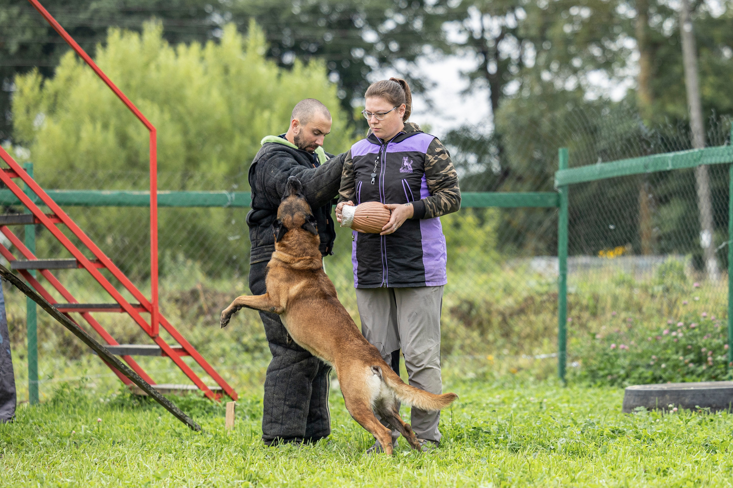 Соревнования по Мондьорингу г. Вологда 10-11.08.2024. Фотограф-анималист Анна Маринич