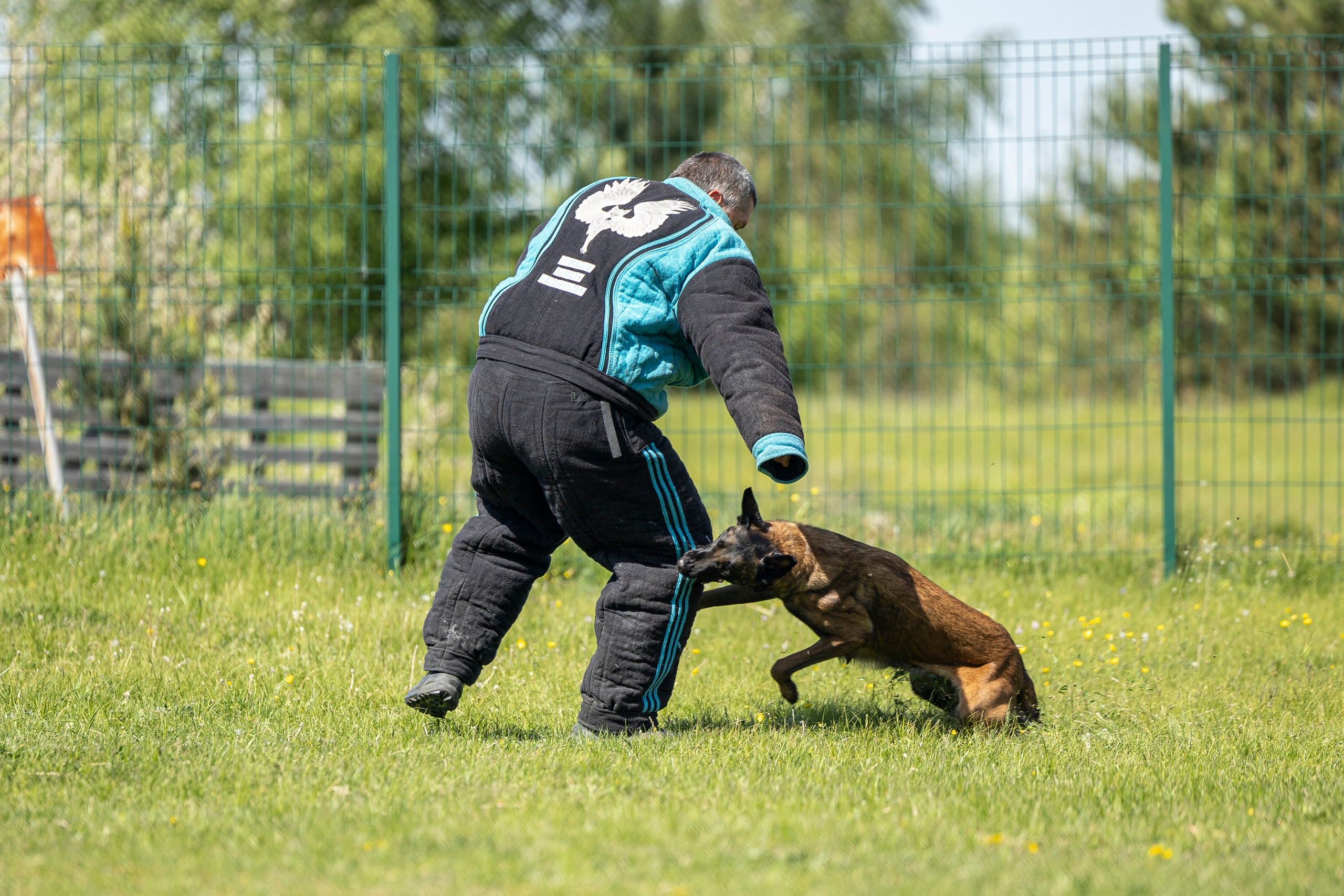 Испытания по мондьорингу в Нижнем Новгороде. Фотограф-анималист Анна Маринич