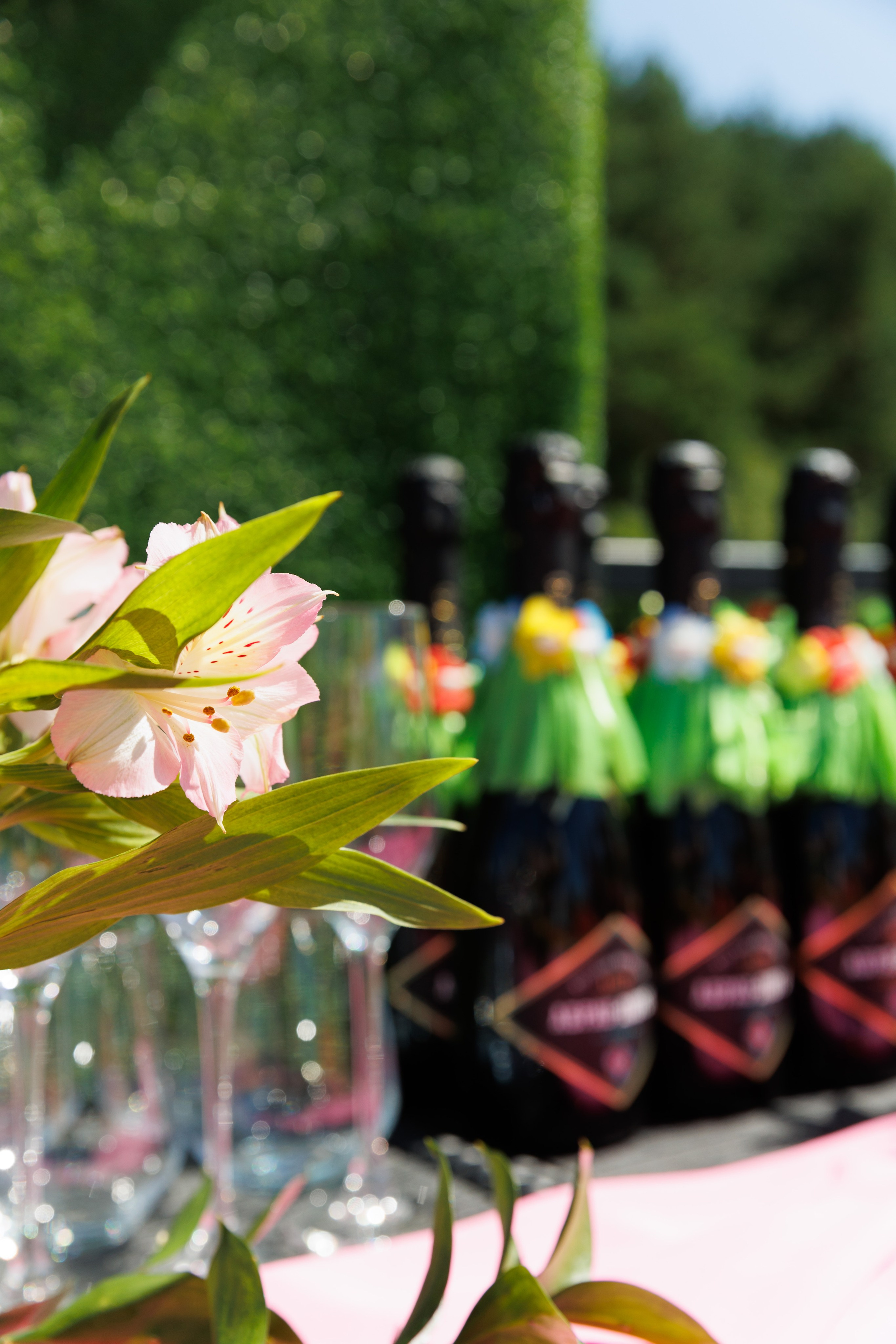 Летняя вечеринка декораторов ШИУ. Фотограф Новосибирск — Наталья Гресь