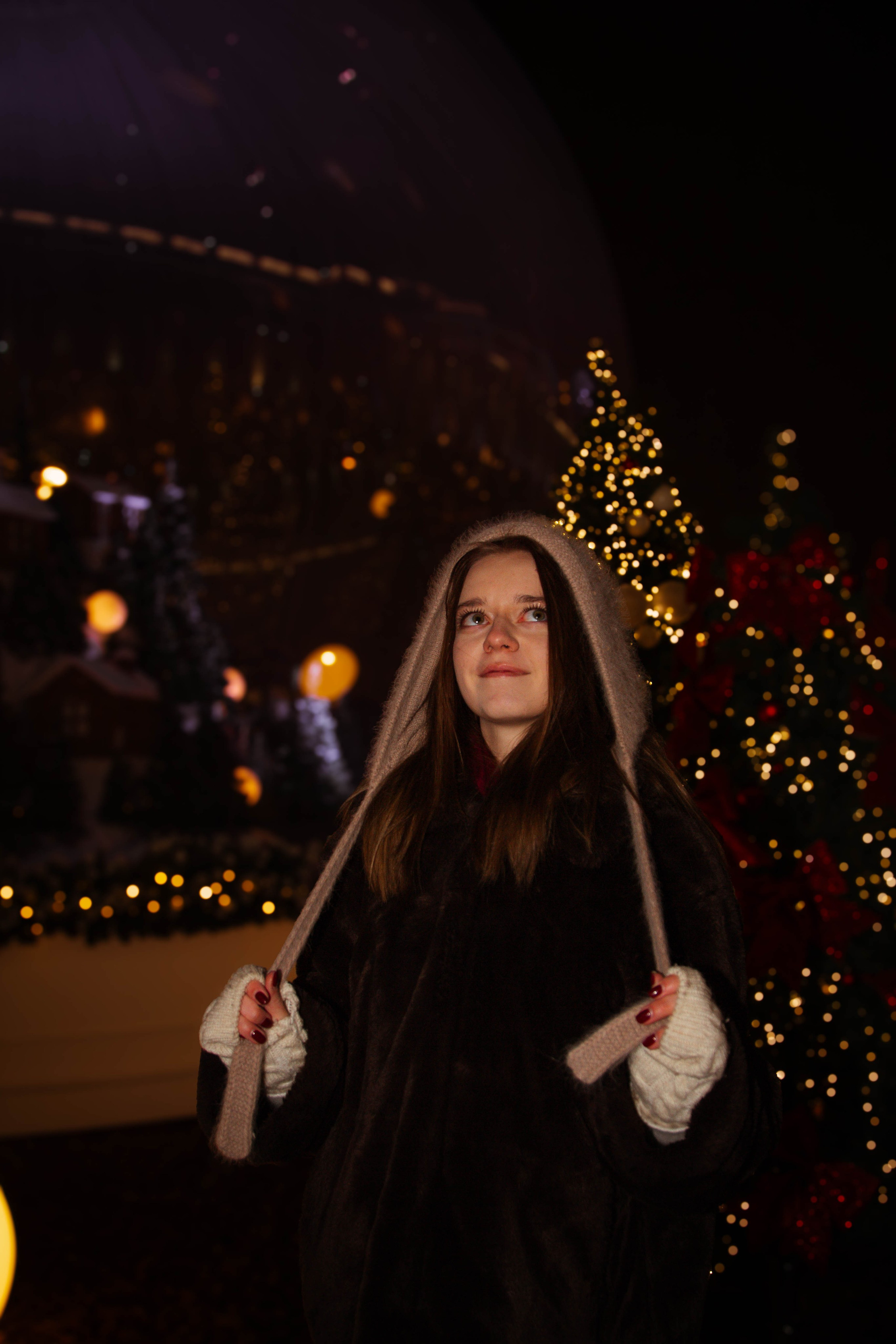 Новогодняя фотоссесия Екатерины. Ладно