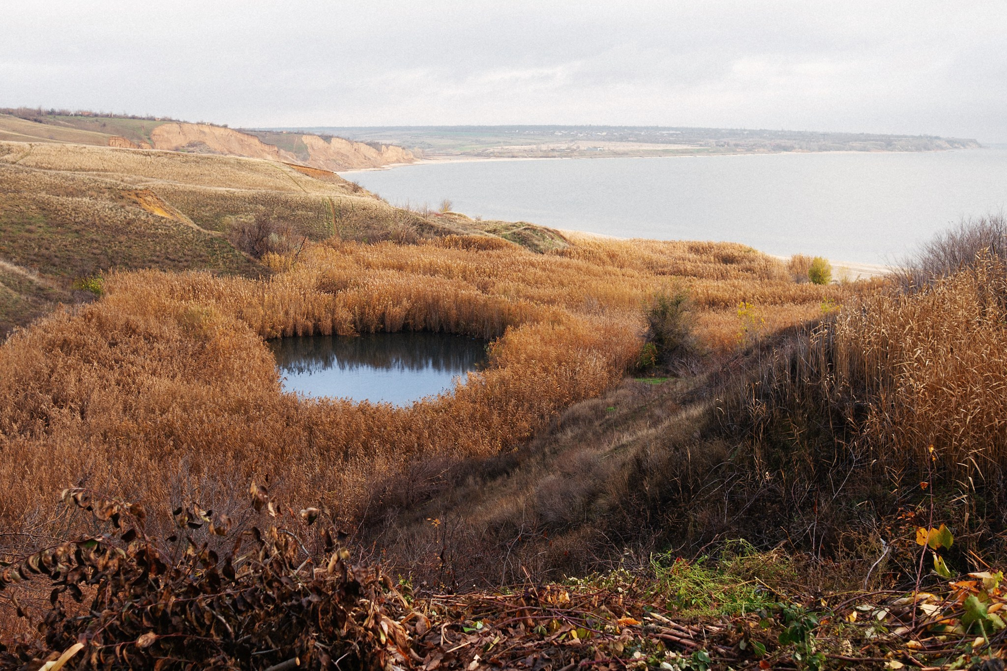 No title. Андрей Сливенко. Свадебный фотограф и видеограф в Волгодонске и Ростове-на-Дону