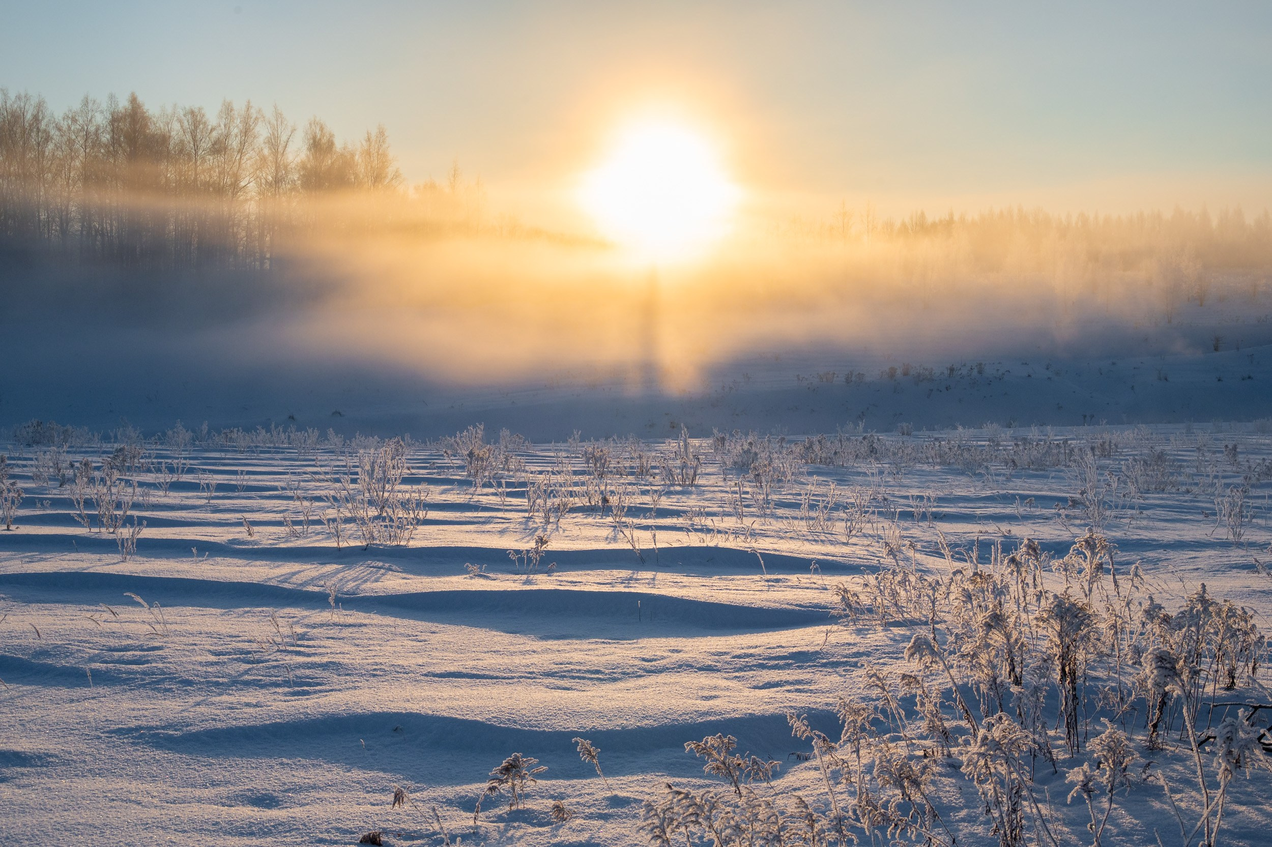 Река Дёготня. Фотограф и видеооператор в Туле | Даниил Рыбак