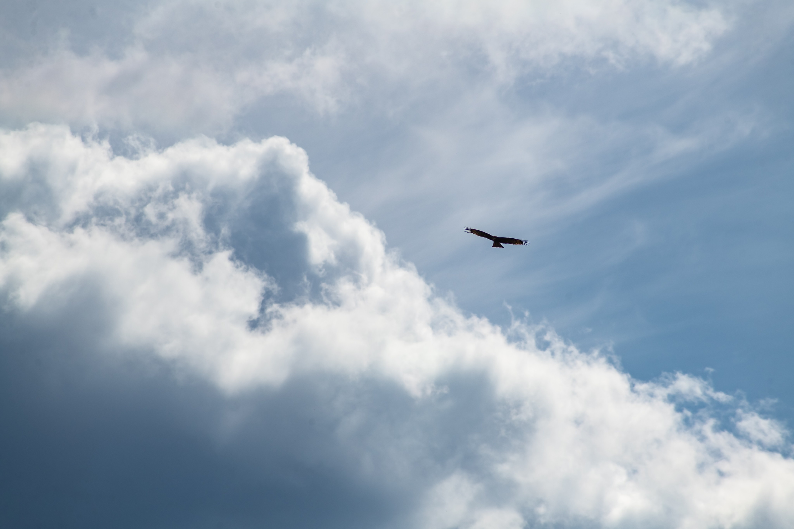 Сувинская саксония, Максимиха. Фотограф и видеооператор в Туле | Даниил Рыбак