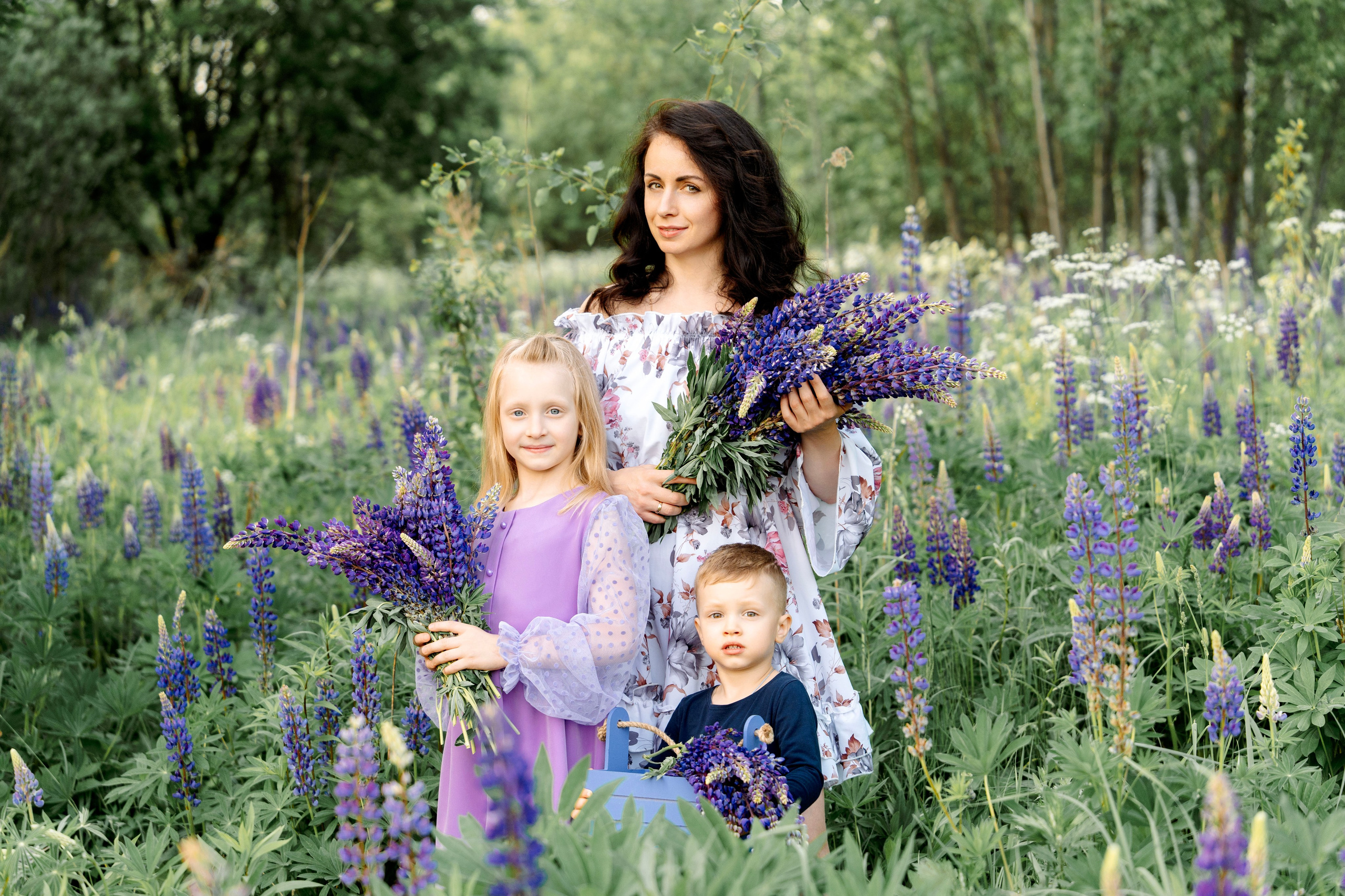 Люпины. Фотограф Юлия Попова