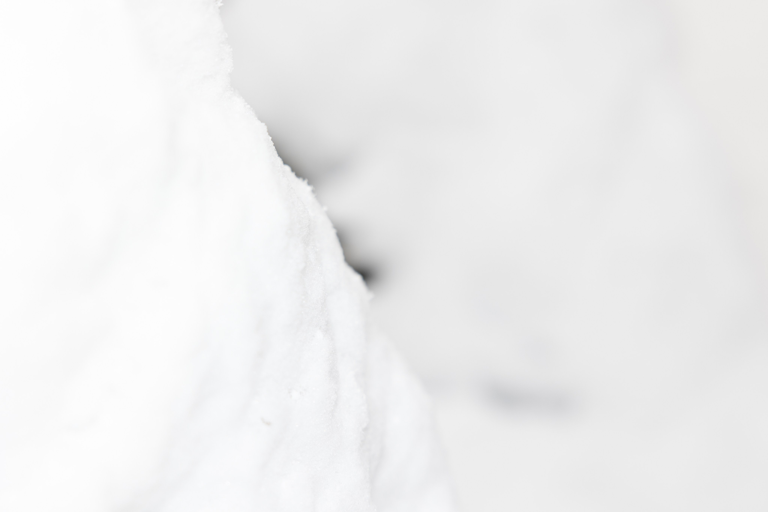 Пейзаж в интерьере | Interior landscape. Фотограф алина стерхова, алина стерхова фотограф, фотограф москва