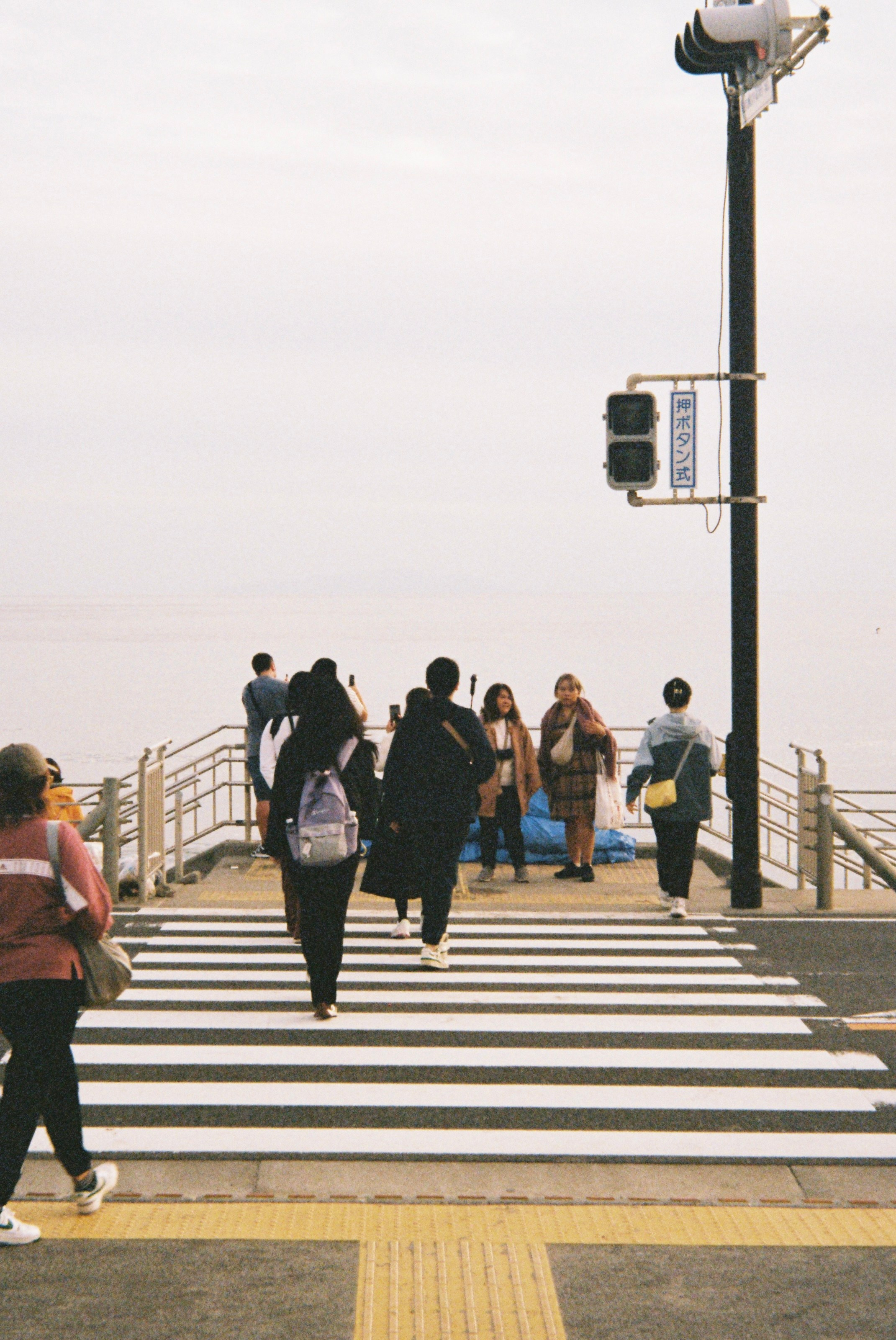 Пленка. Фотограф Алина Диева Москва | Токио